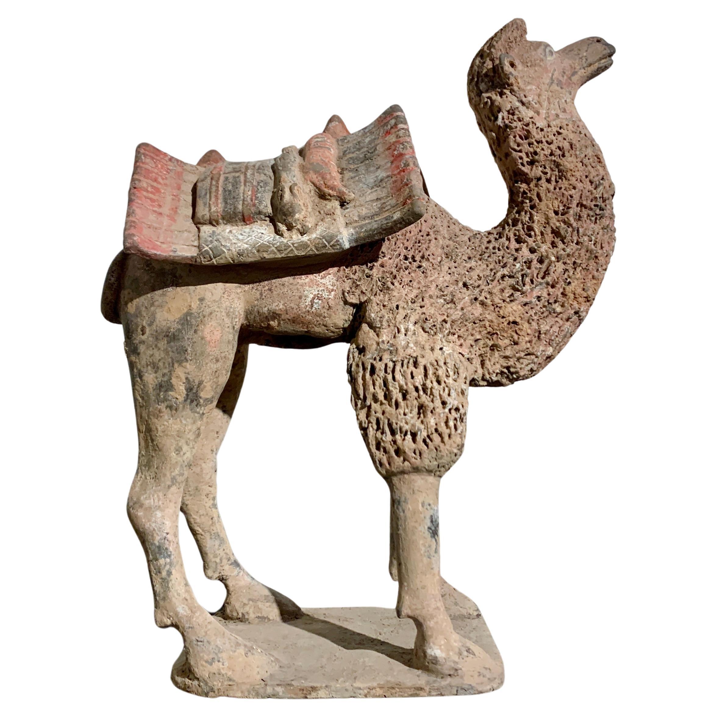 Camello de cerámica china, dinastía Wei del Norte (386 - 535 d.C.), China, TL Testado en venta