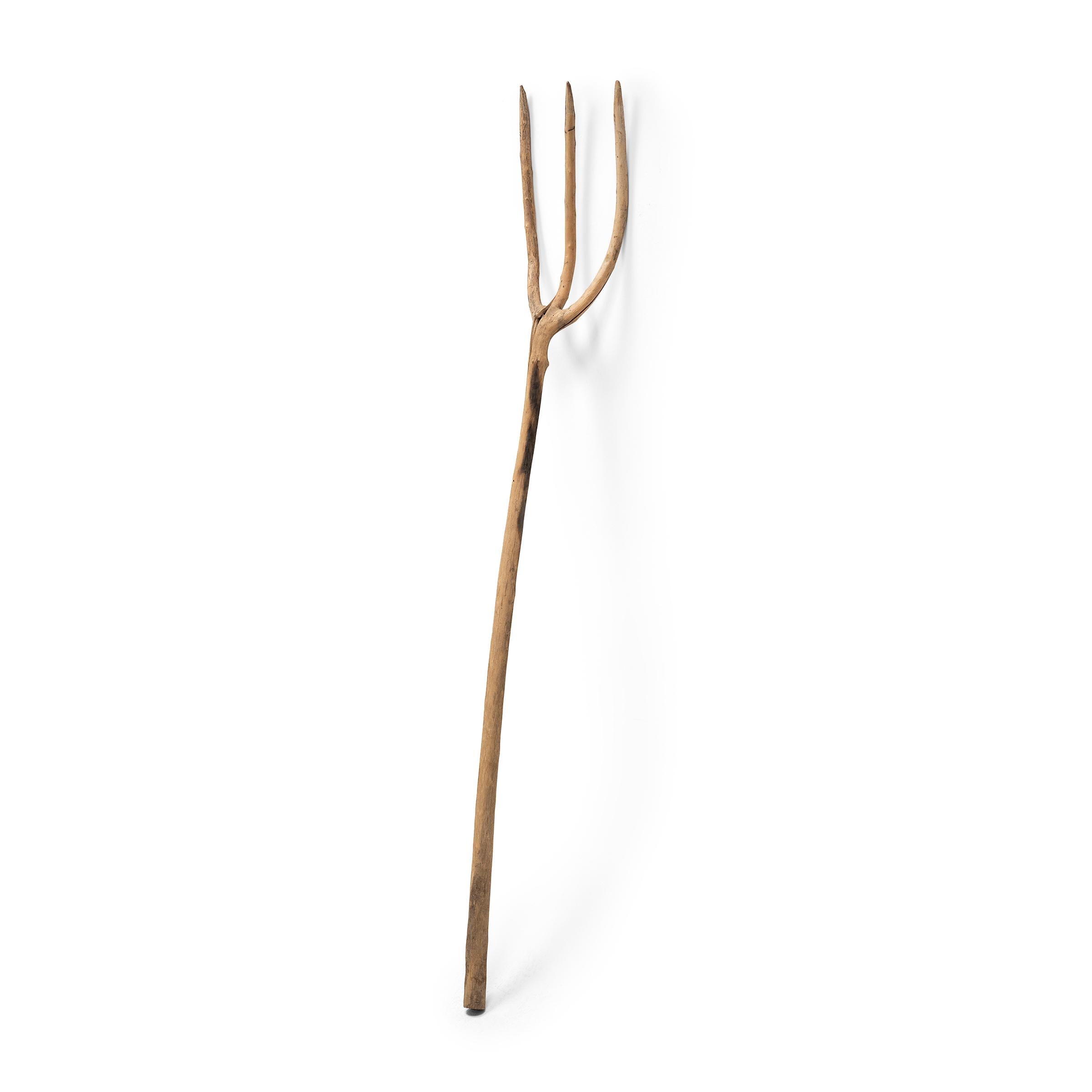 This provincial pitchfork from China’s Shanxi province was crafted in the 19th century and consists of a single, continuous piece of wood. By controlling its growth as a young plant, the farmer or gardener was able to bend and sculpt a tree