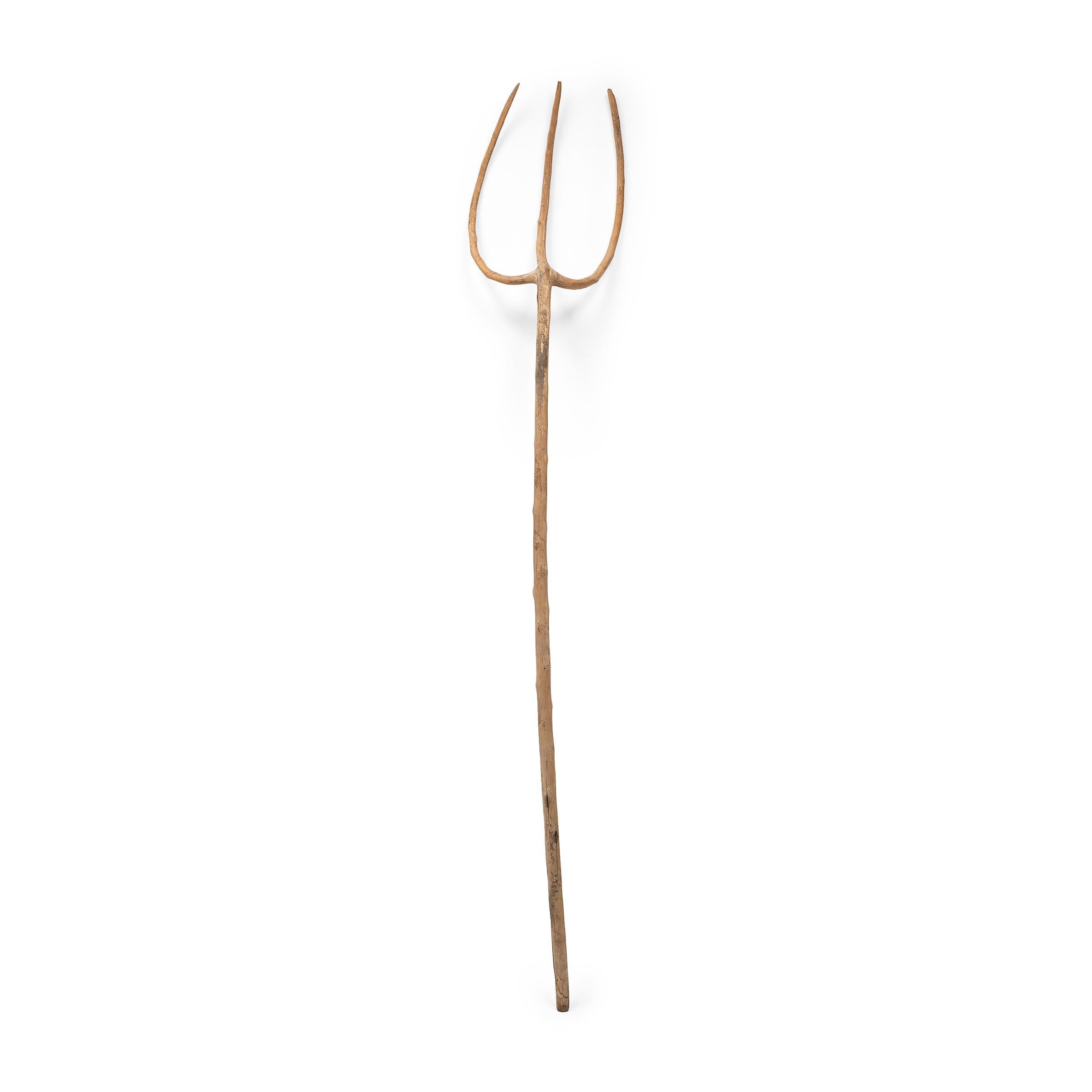 Organic Modern Chinese Provincial Bentwood Pitchfork, c. 1850 For Sale