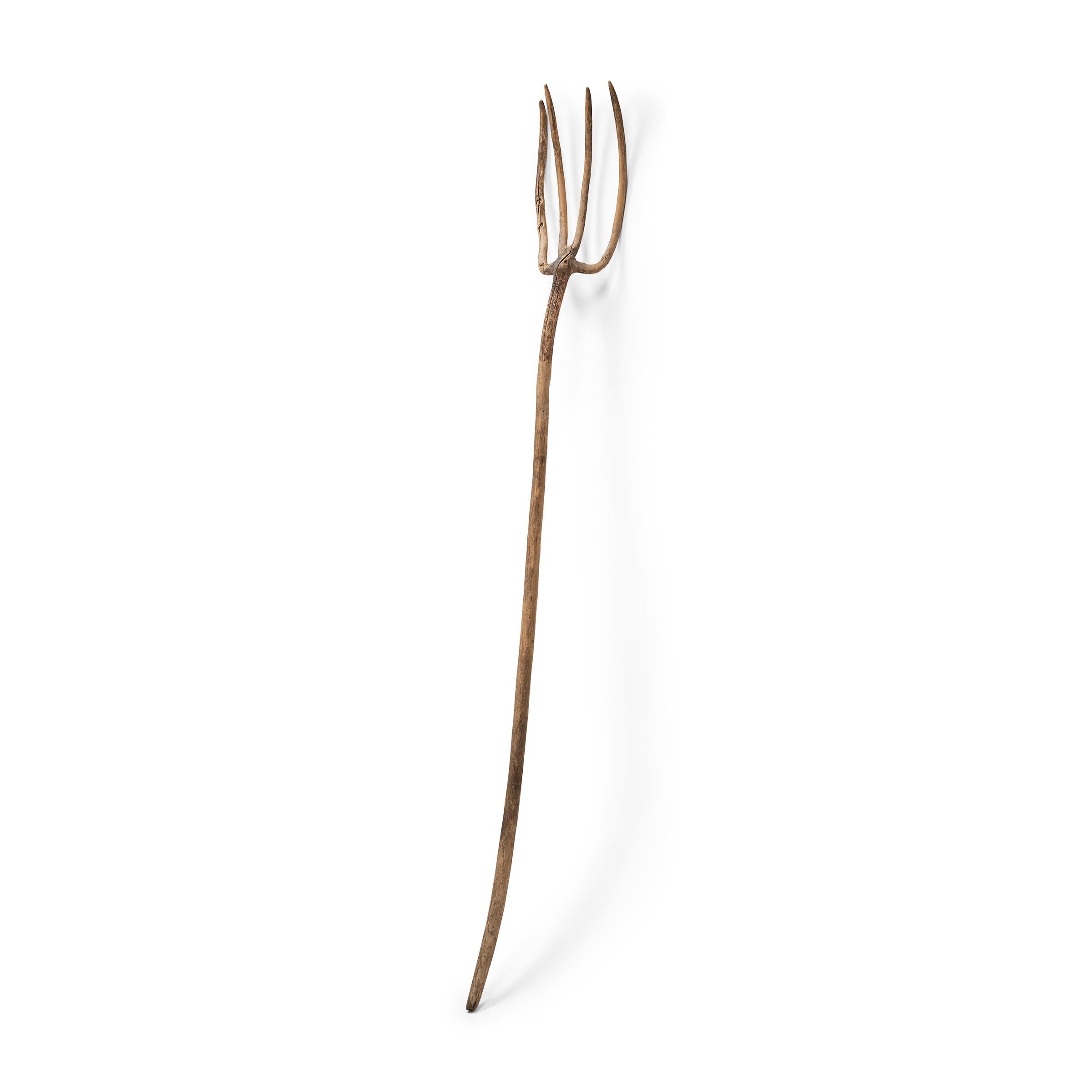 Organic Modern Chinese Provincial Bentwood Pitchfork, c. 1850 For Sale