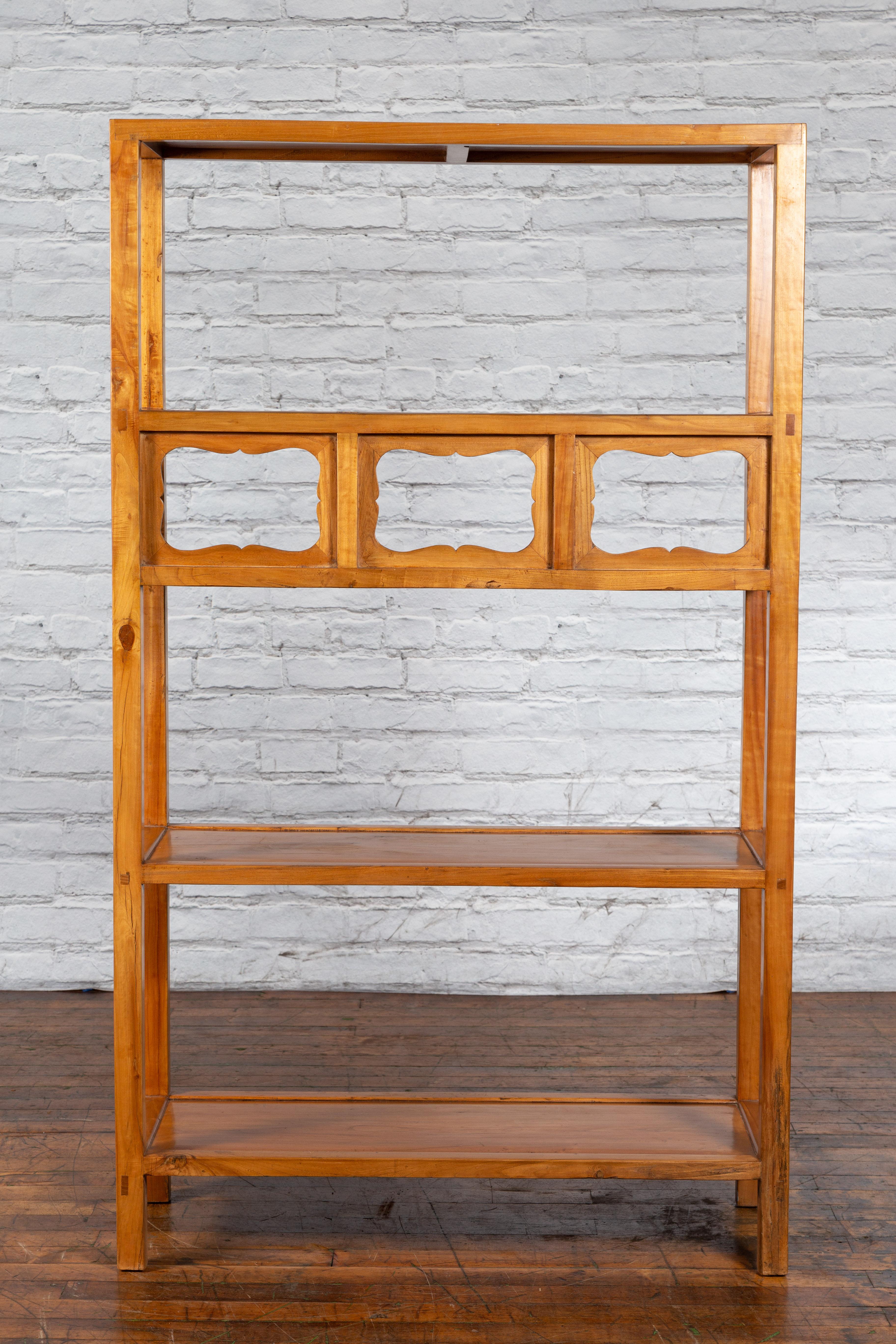 Chinese Qing Dynasty Elmwood Bookcase with Three Shelves and Pierced Cartouches For Sale 5