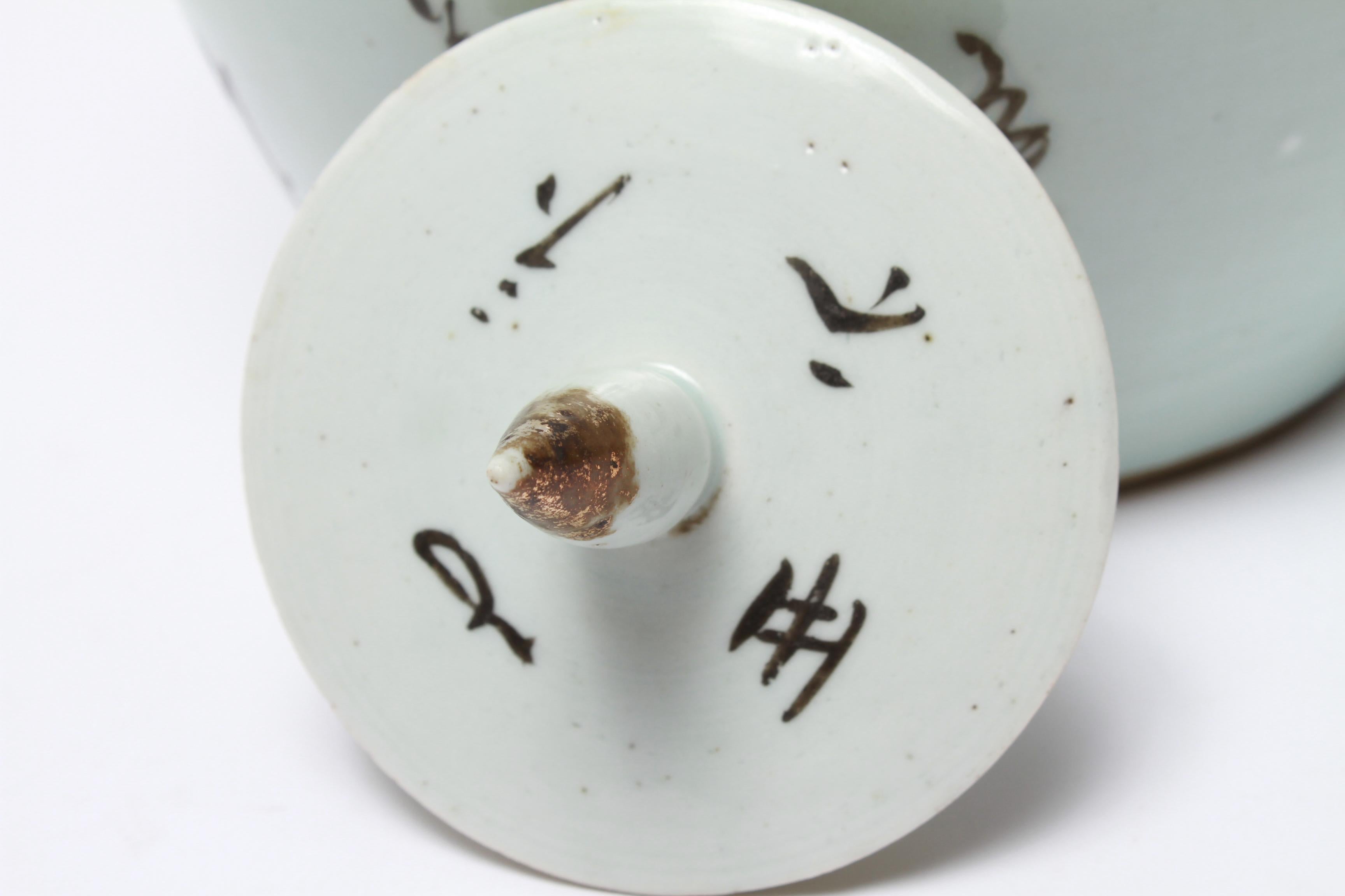 Chinese Qing Style Enameled Ceramic Ginger Jars 8