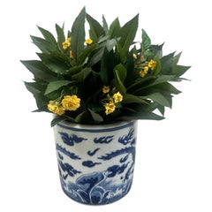Chinese Qing Dynasty Style Blue & White Dragon Motif Porcelain Planter