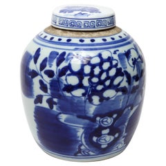 Chinese Qing Dynasty Underglaze Porcelain Ginger Jar