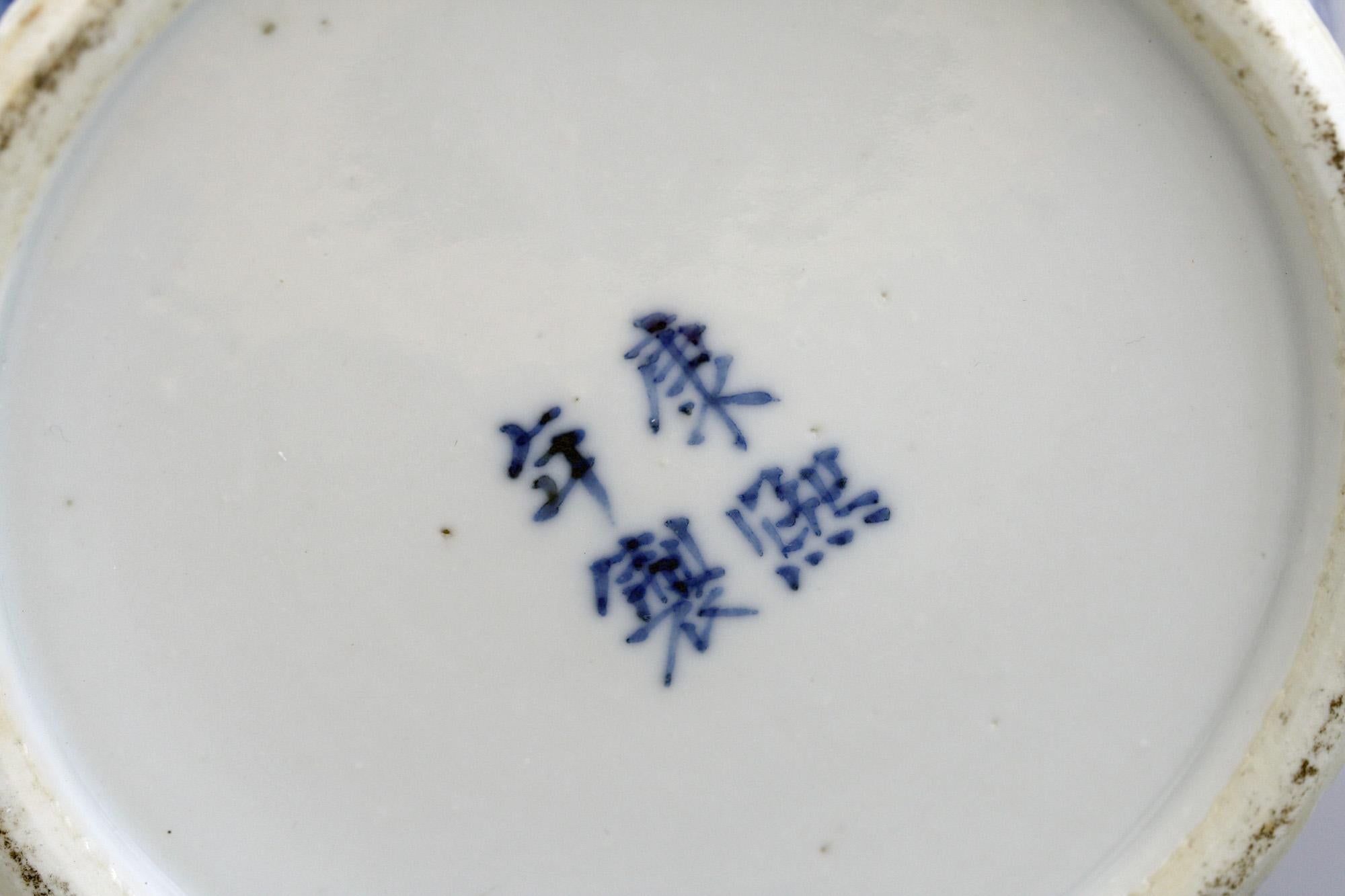 Chinese Qing Kangxi Mark Blue & White Insects & Landscape Porcelain Lidded Jar 3