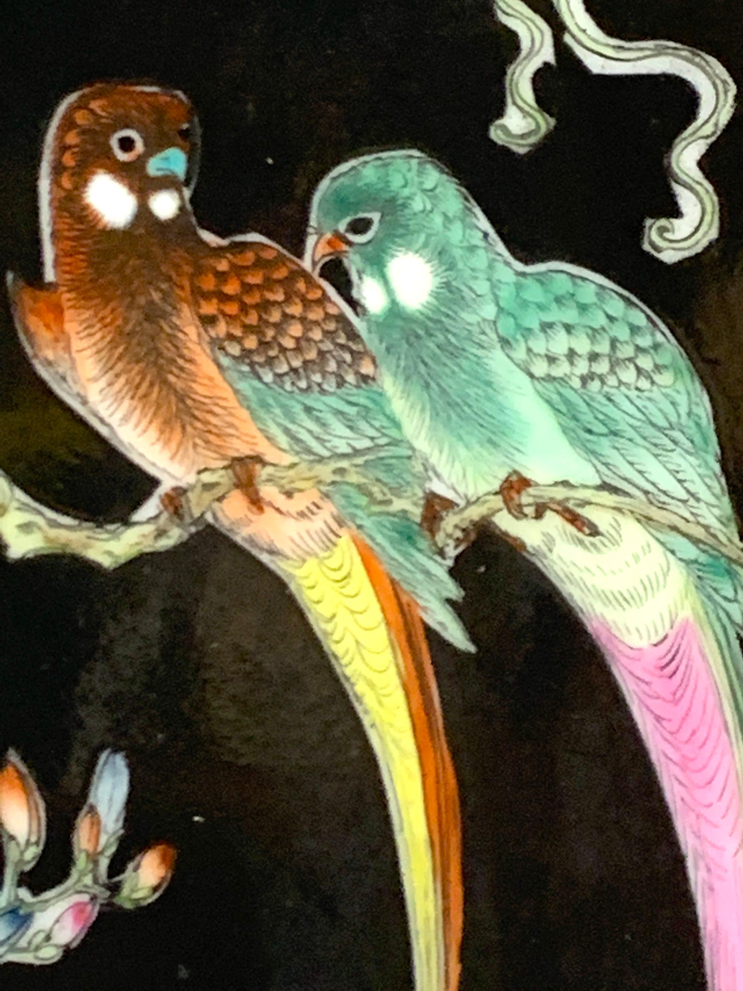 Famille Noire-Porzellanplakette aus der Zeit der chinesischen Republik mit Papageien bemalt (Ebonisiert) im Angebot