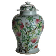 Vintage Chinese Republic Period Porcelain Covered Longevity Ginger Jar with Fruit 20thC