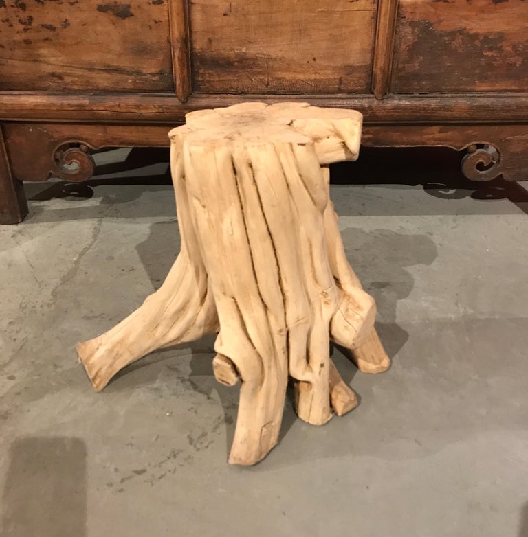 Chinese Root Wood Side Table/Pedestal For Sale 8