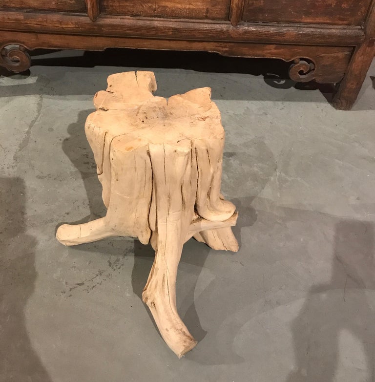 Chinese Root Wood Side Table/Pedestal For Sale 4