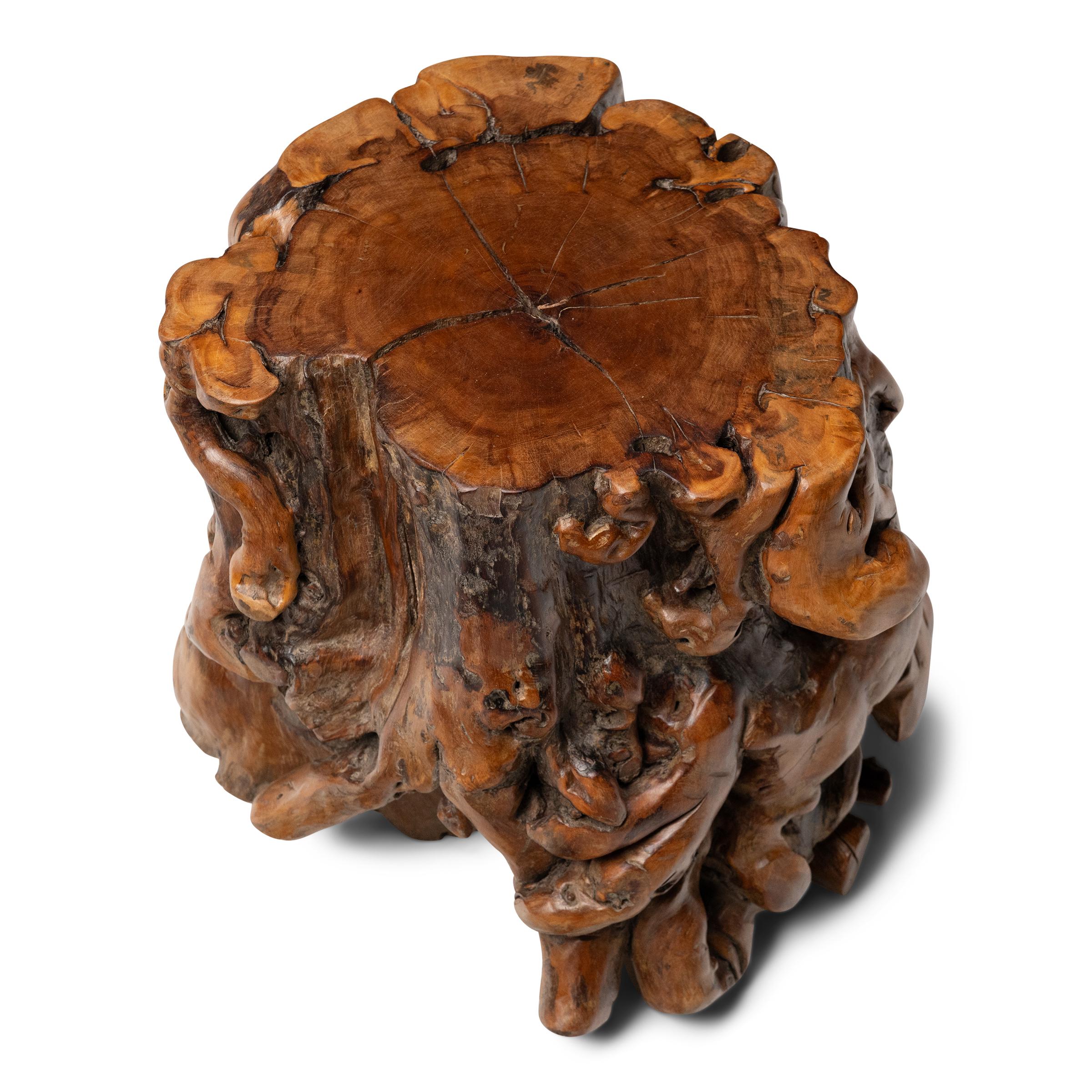 Organic Modern Chinese Rootwood Side Table For Sale