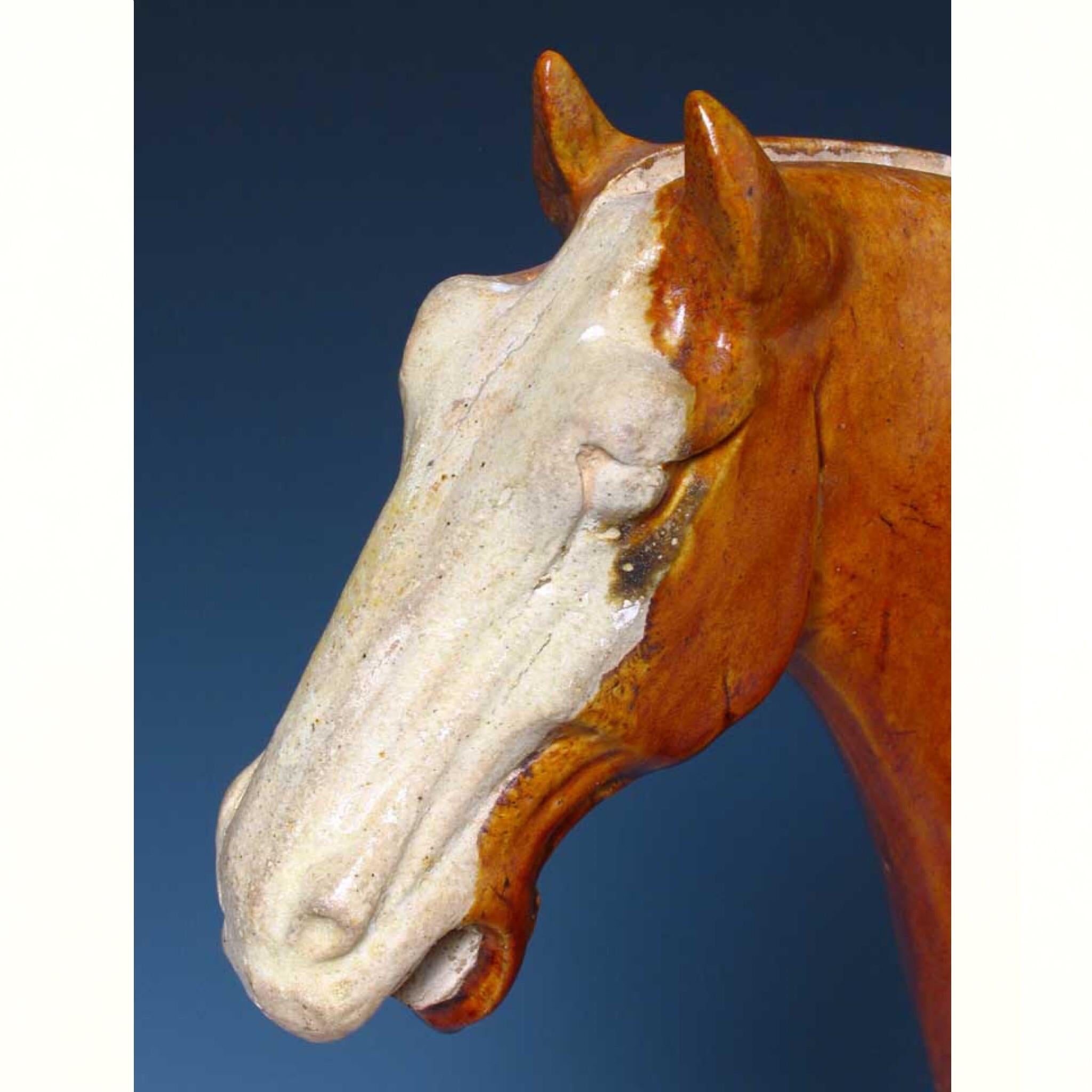 Chinese Sancai Glazed Ceramic Horse Figure, Tang Dynasty In Good Condition For Sale In New York, NY