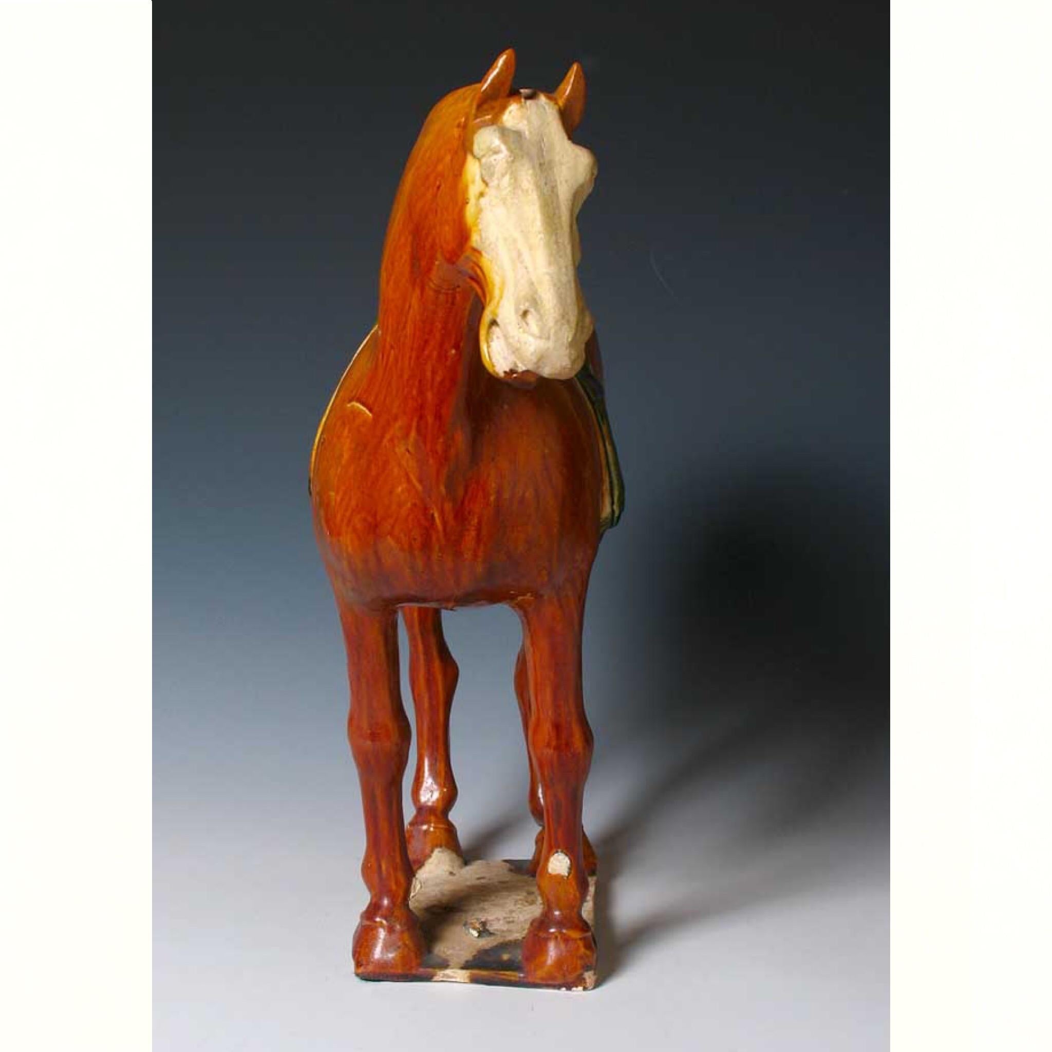 Chinese Sancai Glazed Ceramic Horse Figure, Tang Dynasty For Sale 1