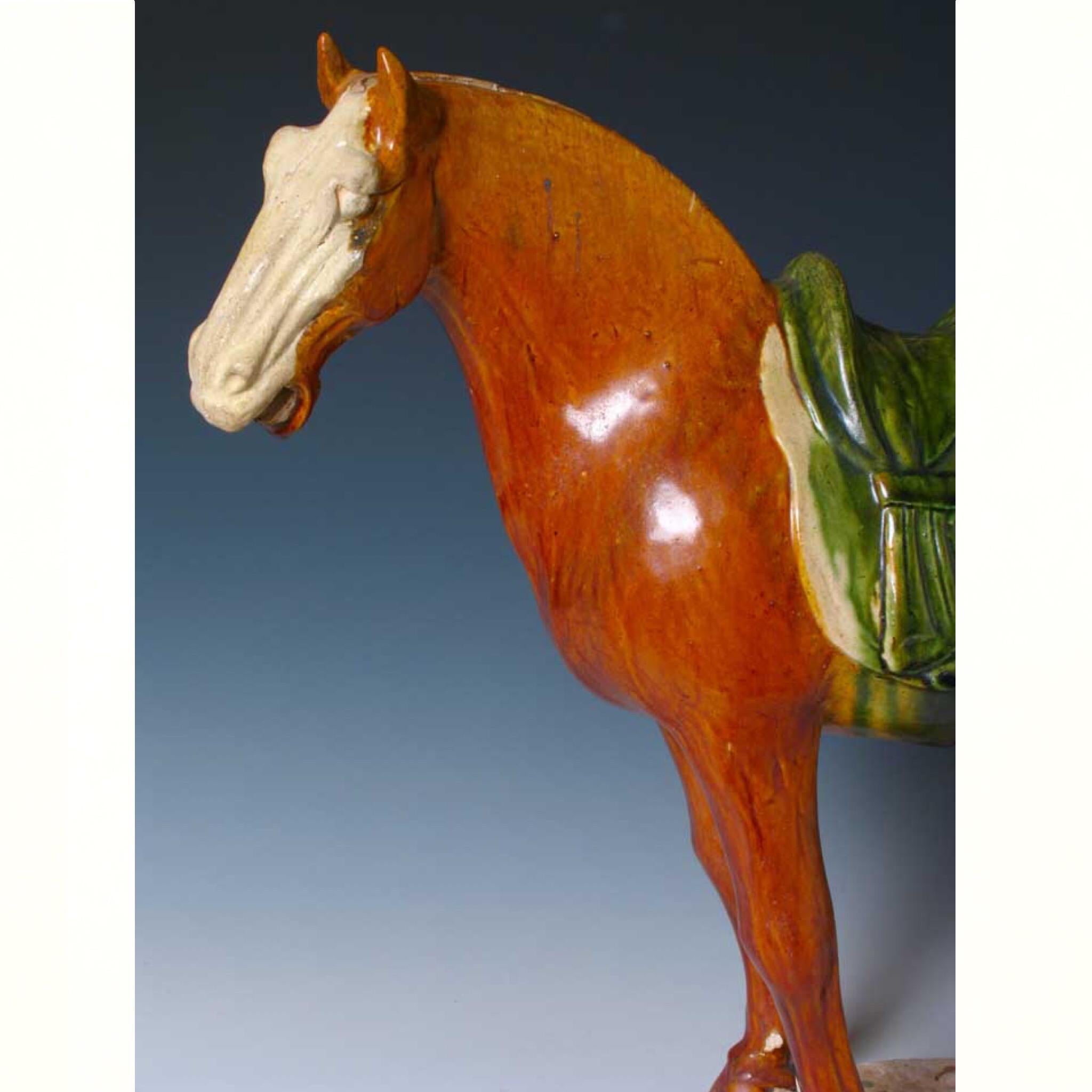 Chinese Sancai Glazed Tang Horse In Good Condition For Sale In Point Richmond, CA