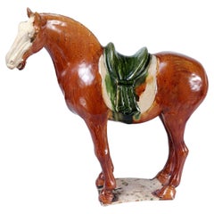 Used Chinese Sancai Glazed Tang Horse