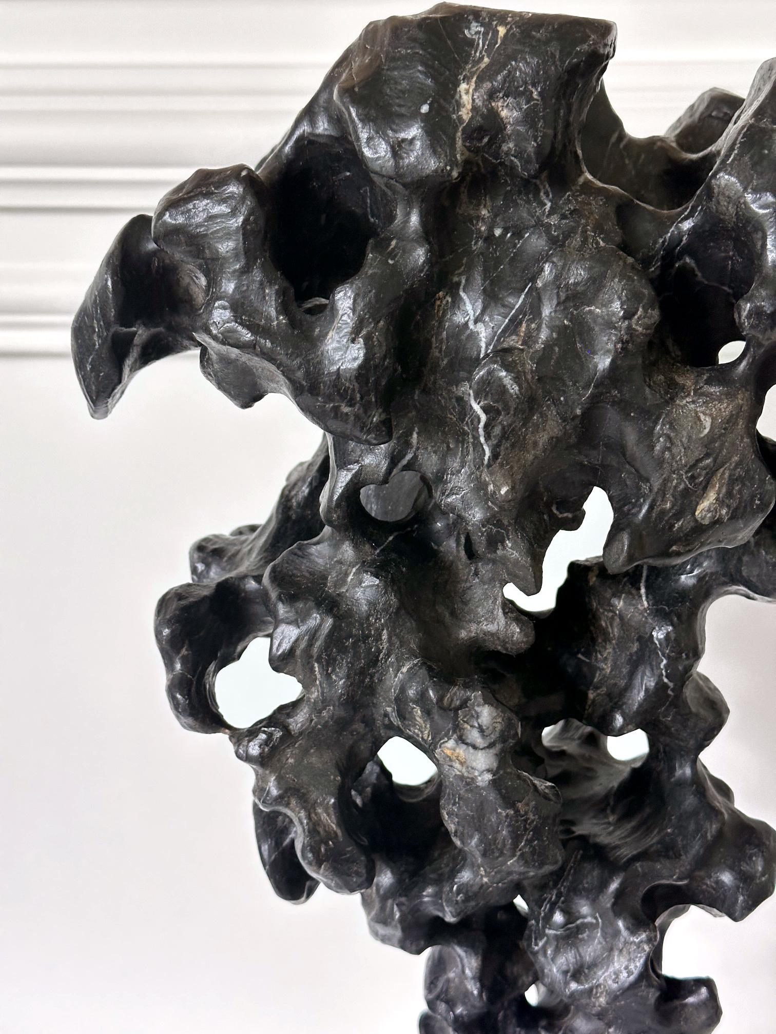 20ième siècle Rocher d'érudit chinois Pierre noire de Taihu sur Stand en vente