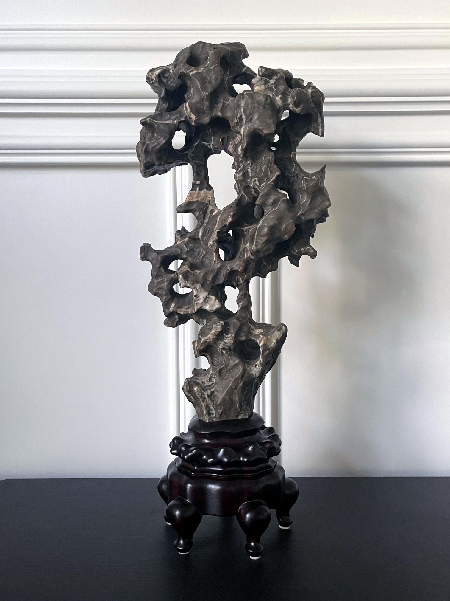 Chinese Scholar Stone Black Taihu Rock on Wood Stand 5