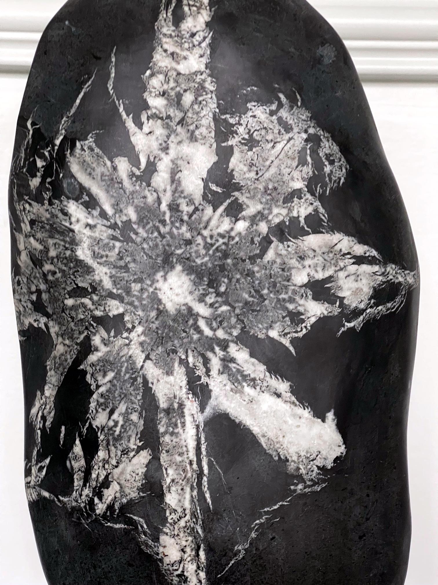Chinese Scholar Rock Chrysanthemum Stone For Sale 7