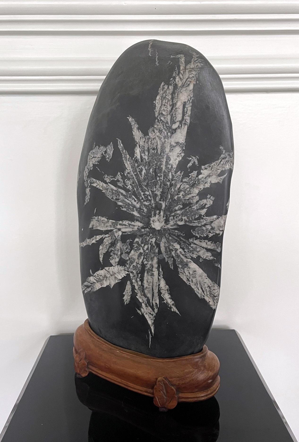 Chinese Scholar Rock Chrysanthemum Stone In Good Condition For Sale In Atlanta, GA