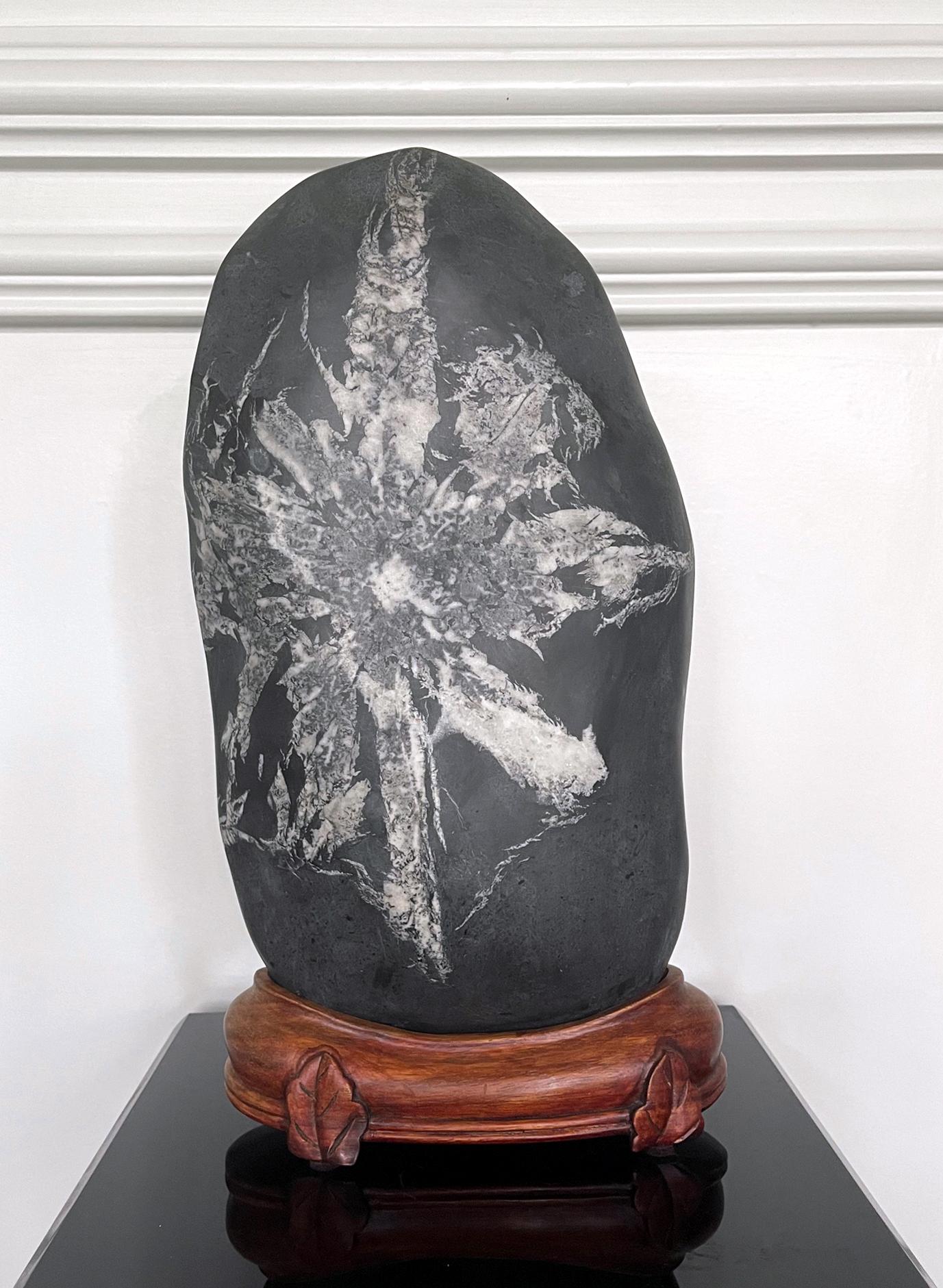 19th Century Chinese Scholar Rock Chrysanthemum Stone For Sale