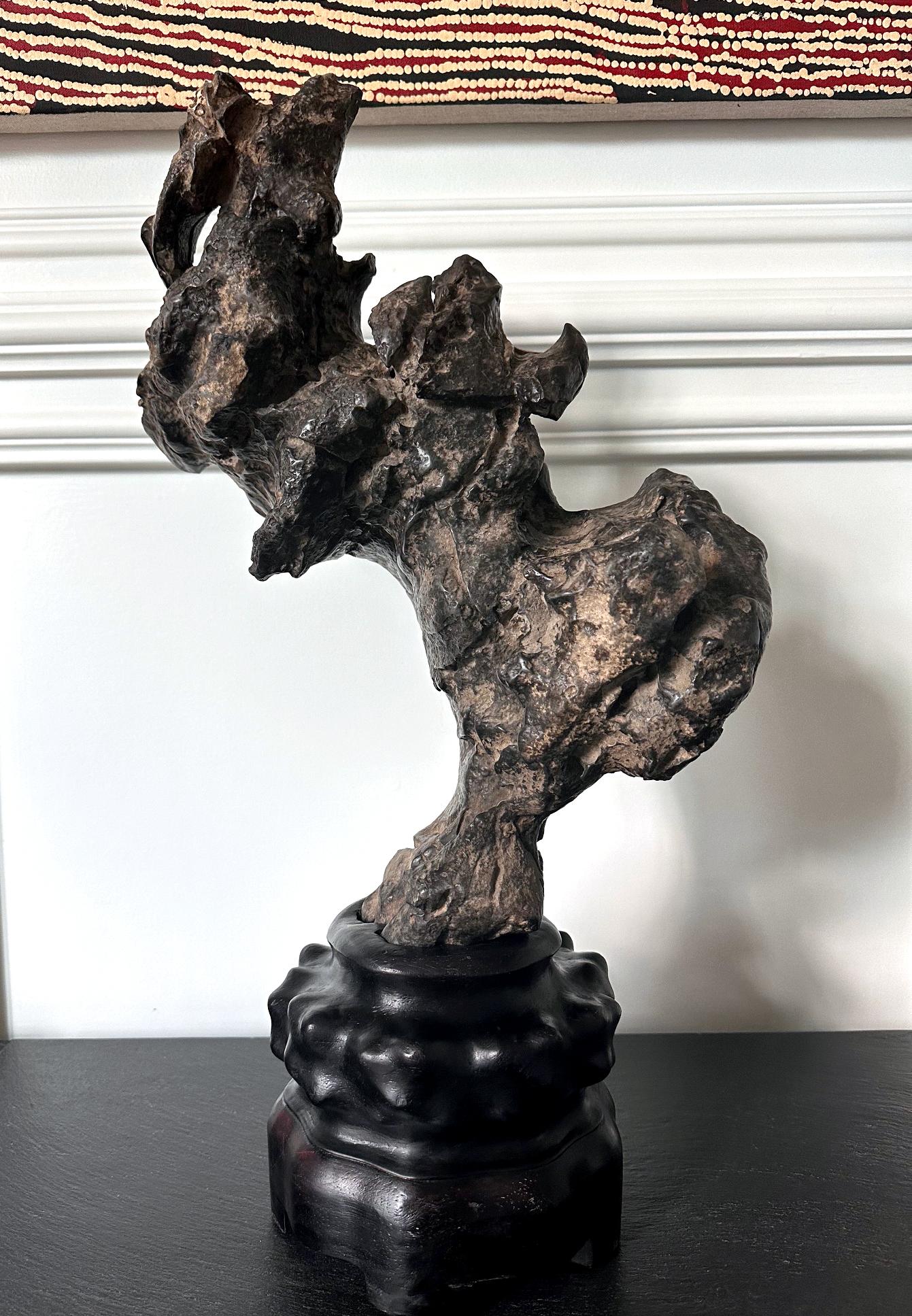 Une grande pierre d'érudit chinoise (également connue sous le nom de Gong Shi en chinois ; pierre de méditation et pierre spirituelle en Occident) d'un poids et d'un volume importants est gracieusement posée en équilibre sur le présentoir en bois.
