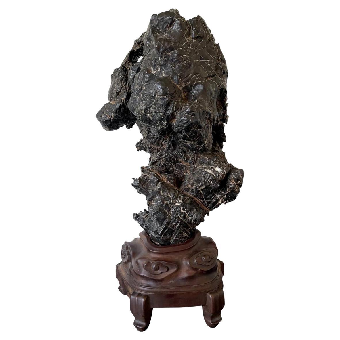 Chinese Scholar Rock Wen Stone on Display Stand For Sale
