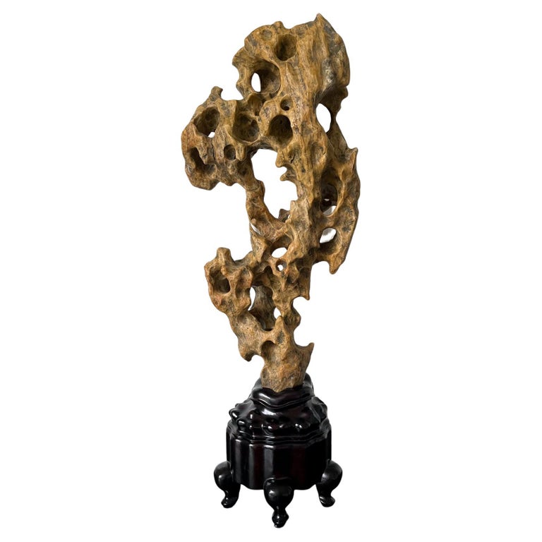 Chinese Scholar Rock Yellow Taihu Stone on Wood Stand For Sale at 1stDibs