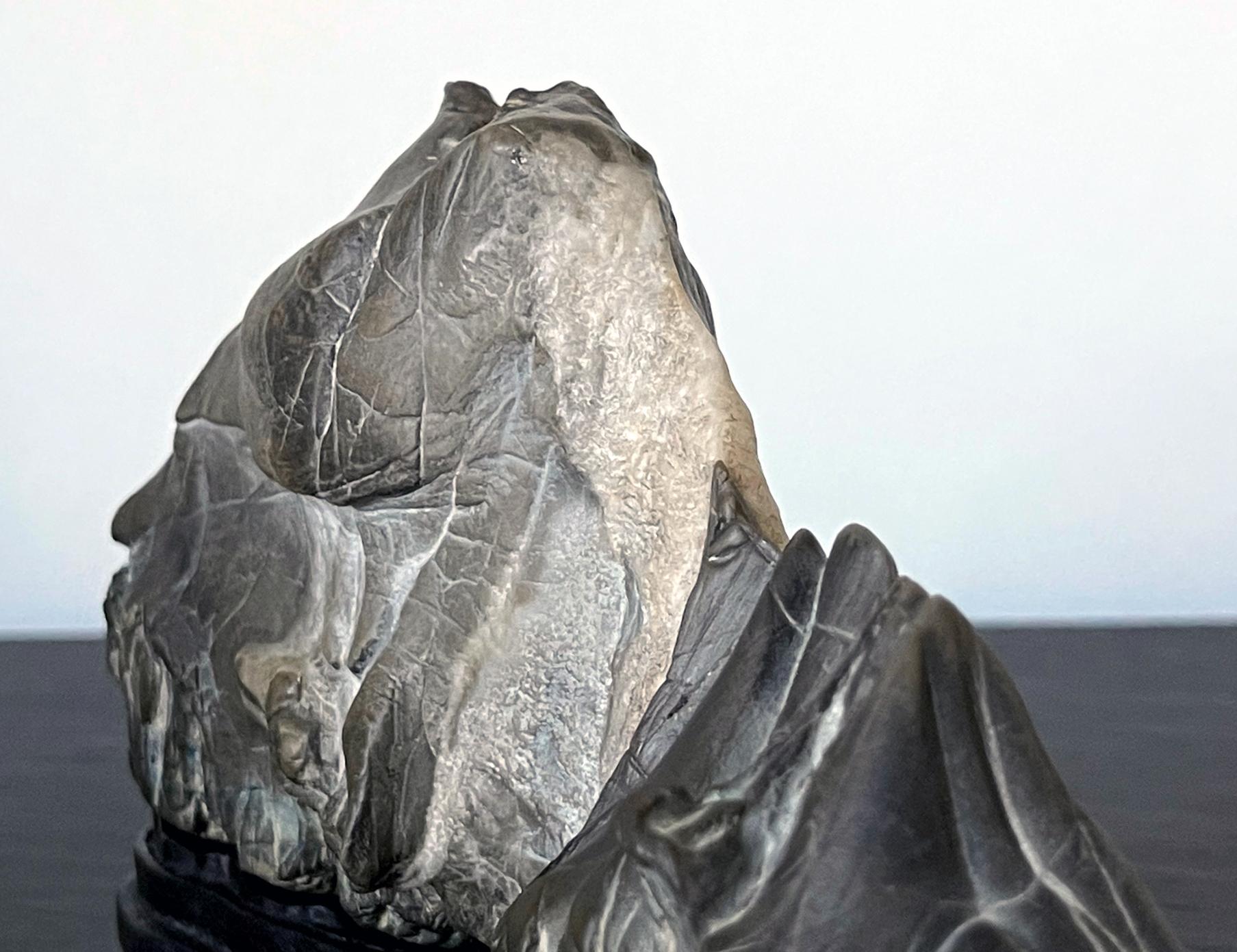 Forme de montagne en pierre d'érudit chinoise avec support d'exposition en vente 1