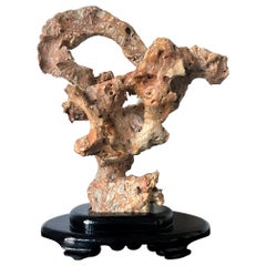 Pierre d'érudit chinois Taihu Rock sur Wood Stand