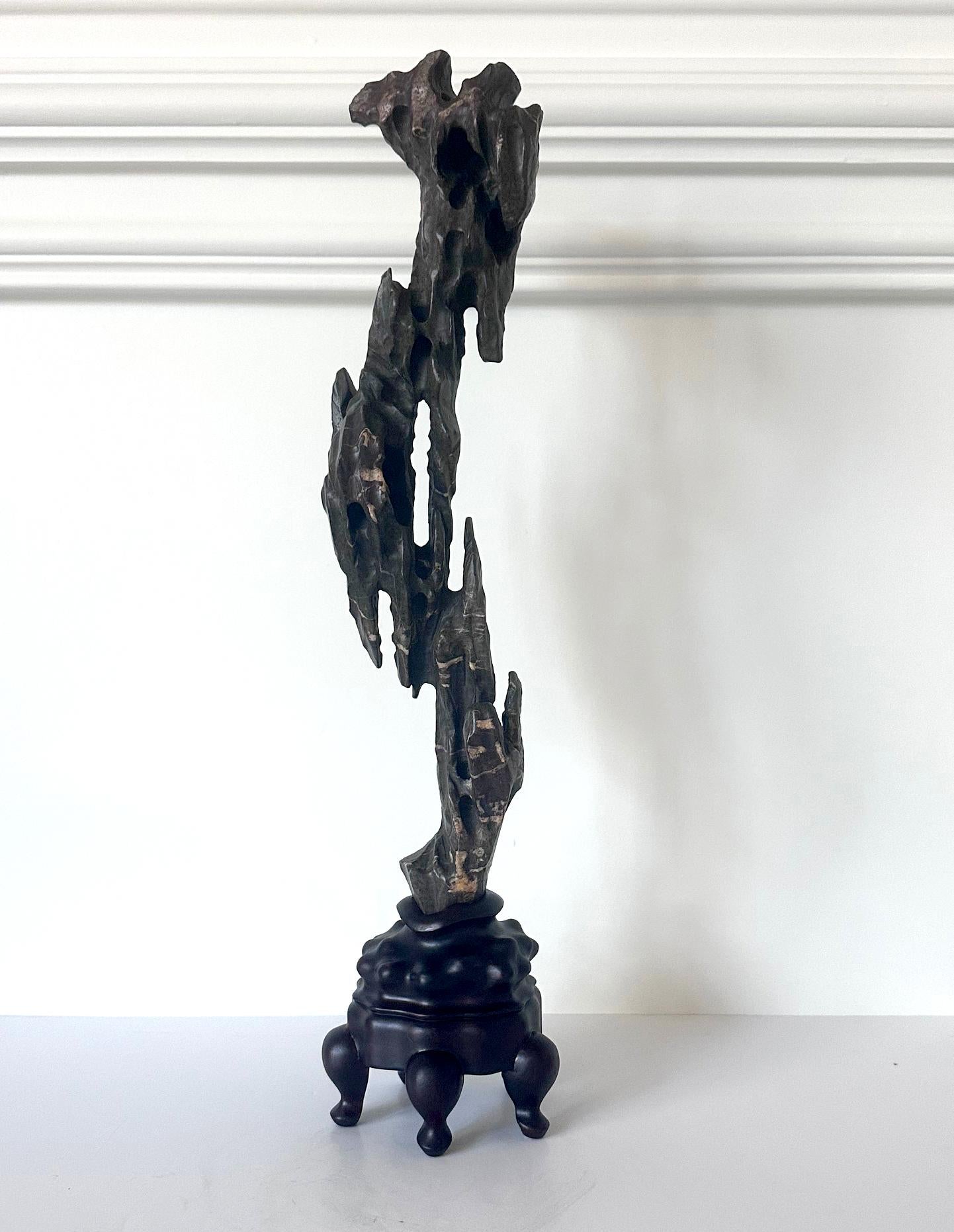 Une haute pierre de savant verticale de type Lingbi, posée sur une base en bois ajustée, est visuellement impressionnante. Cette formation rocheuse se caractérise par une forme élégante et élancée, une surface très sculpturale et des grottes