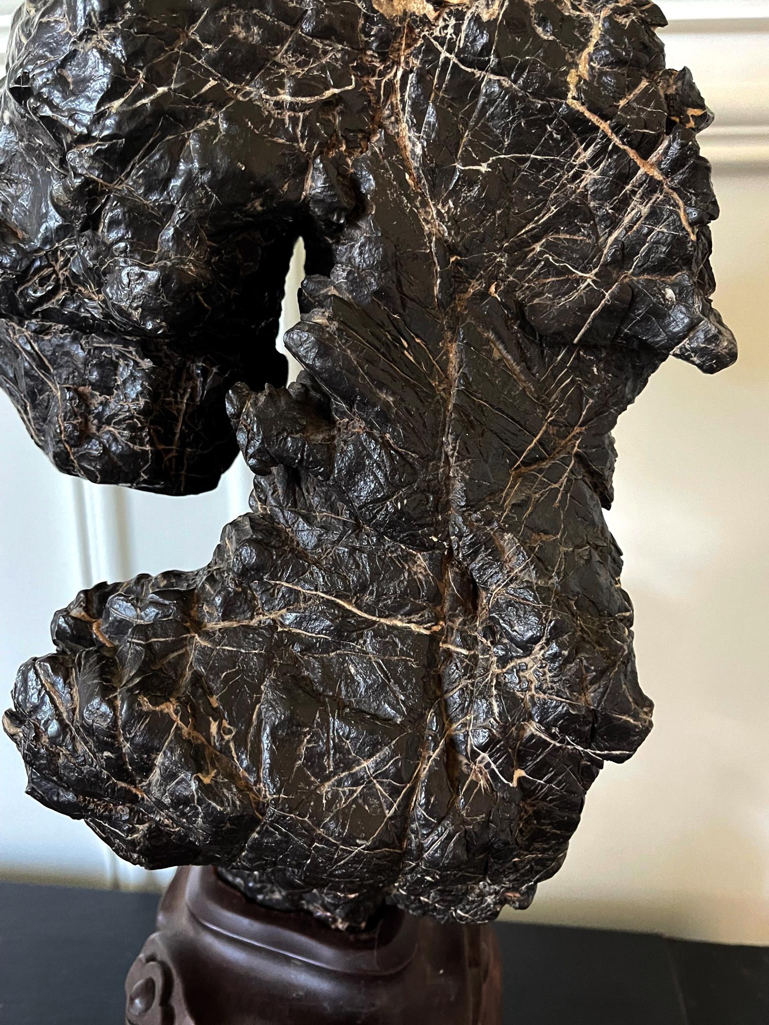 Large and Substantial Chinese Scholar Rock on Display Stand For Sale 10