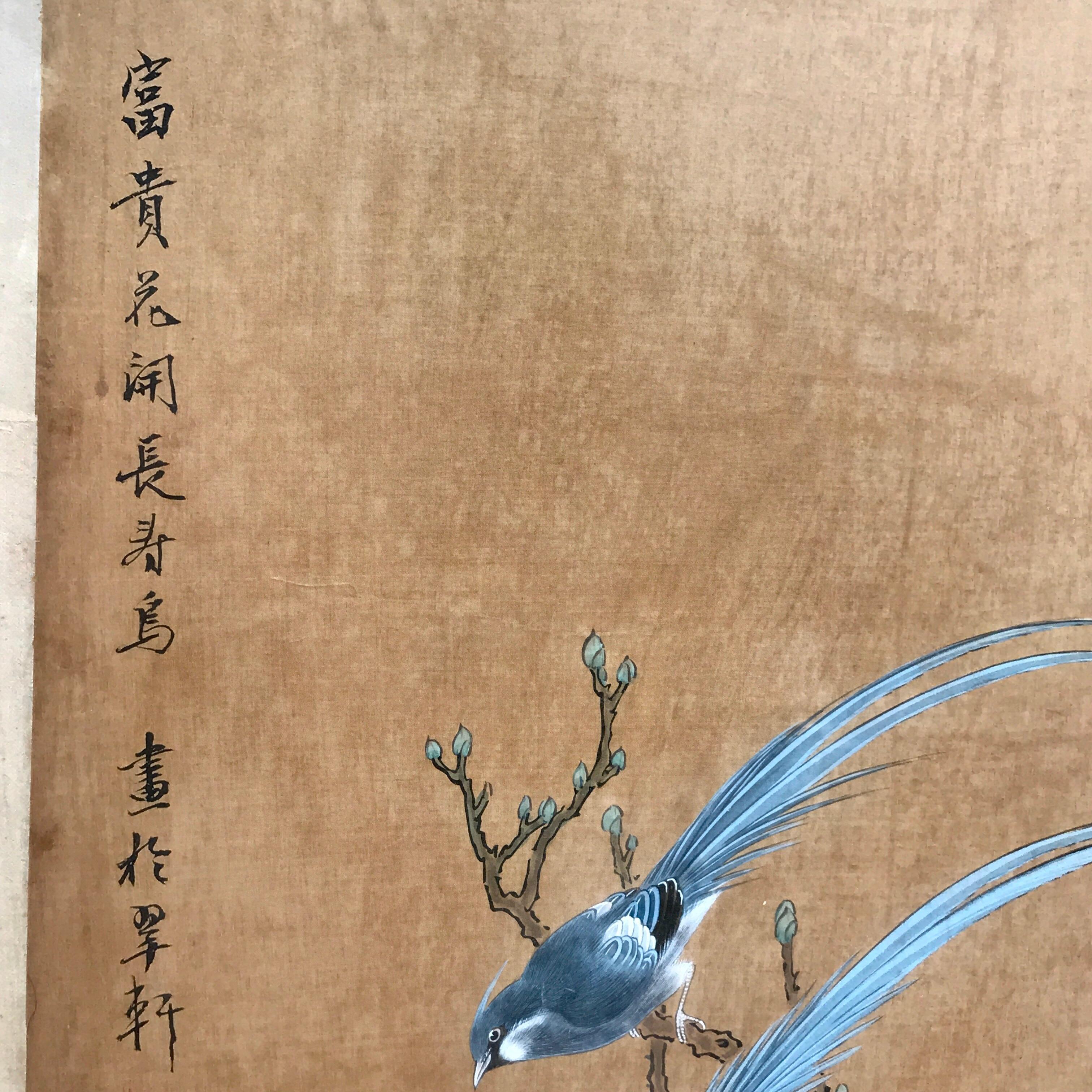 Chinese School scroll painting late 19th- early 20th century
Scroll painting mounted and framed, depicting a pair of bluebirds below a blooming tree and peonies
Inscribed upper left in running script and seal, also with various seal marks
Scroll