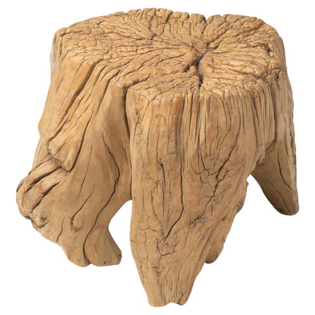 Chinese Rootwood Side Table For Sale at 1stDibs
