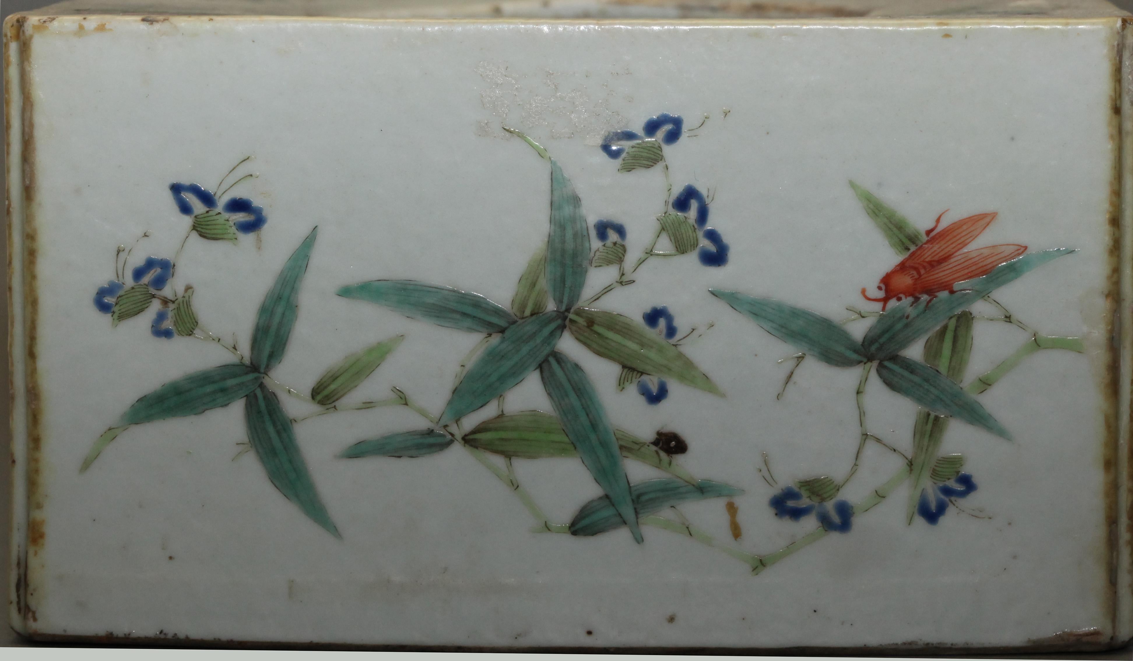decorati con vari insetti (cavalletta, libellula, etc.) e fiori 
