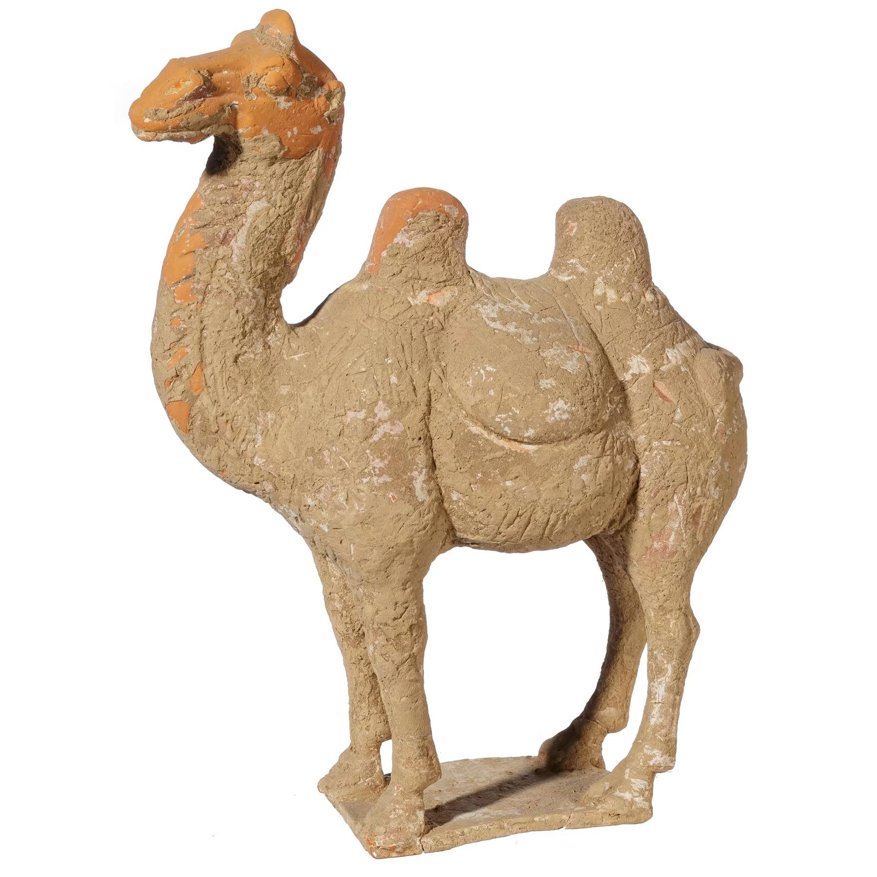 ITEM: Statuette of a camel
MATERIAL: Pottery
CULTURE: Chinese, Tang Dynasty
PERIOD: 618 – 907 A.D
DIMENSIONS: 340 mm x 260 mm
CONDITION: Good condition. Includes Thermoluminescence test by Laboratory Ralf Kotalla (Reference 06120909)
PROVENANCE: Ex
