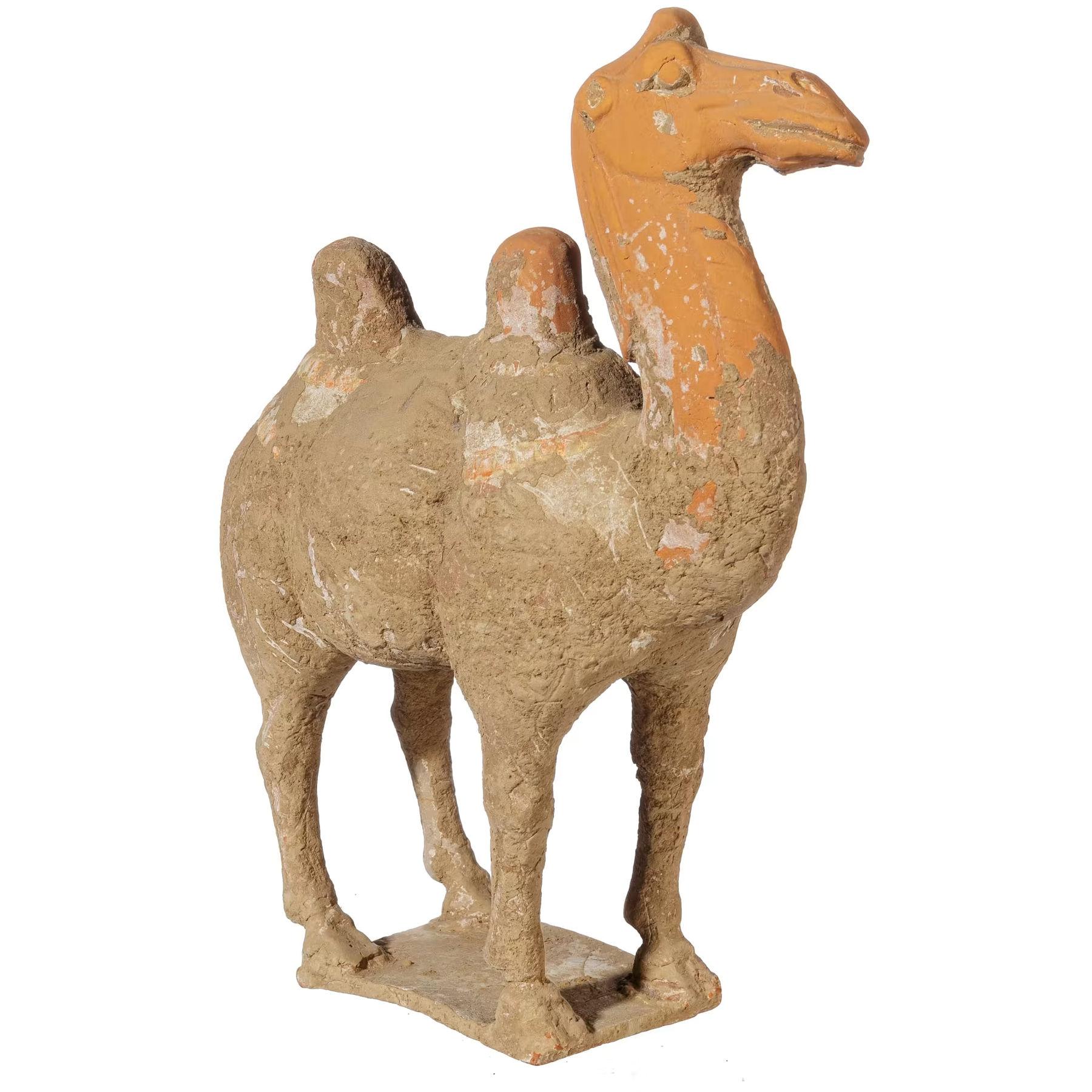 Tang Chinese statuette of a camel