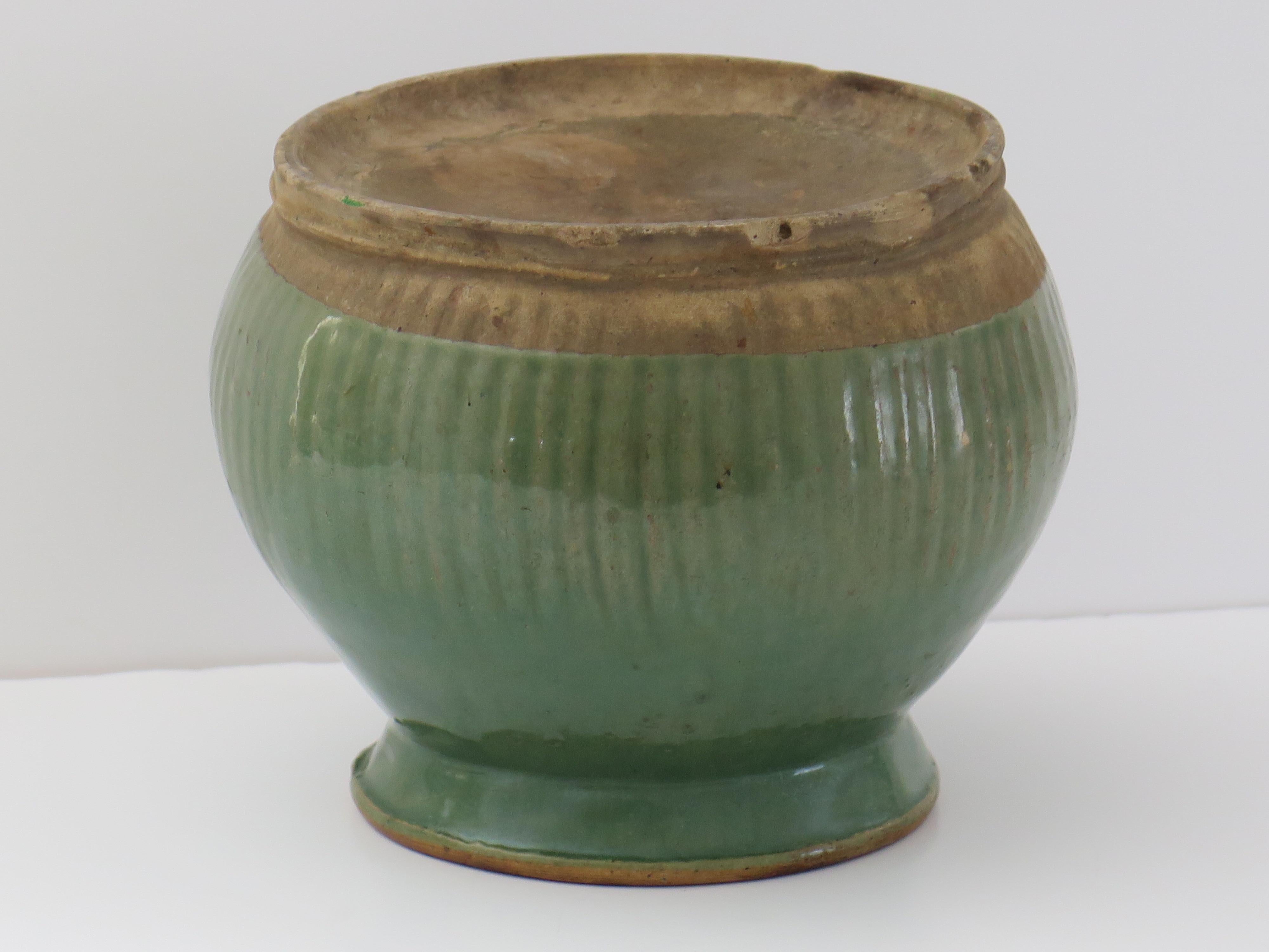 Chinese Stoneware Jar Celadon fluted detail, Ming Dynasty 14th to 16th Century For Sale 11