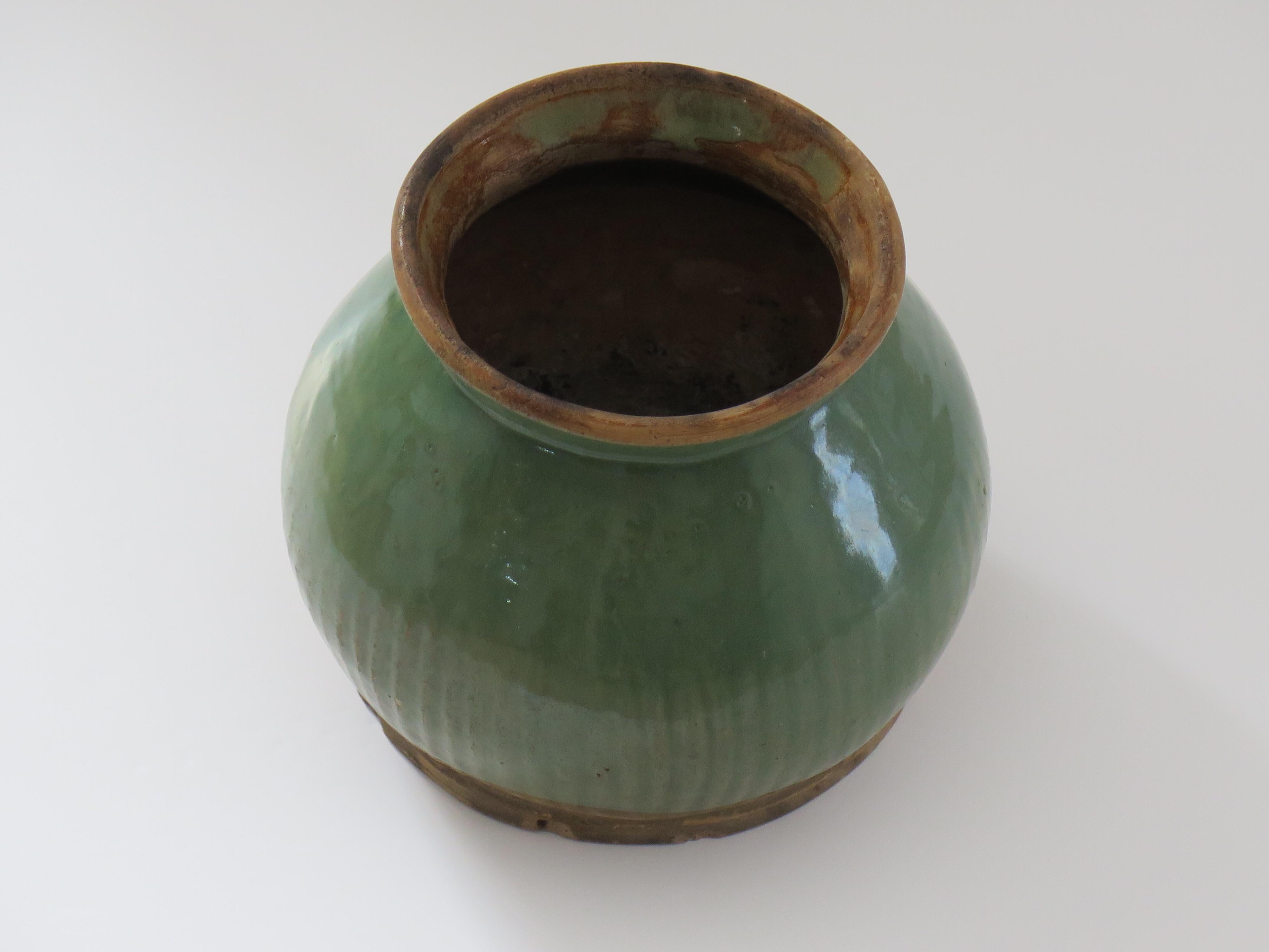 Chinese Stoneware Jar Celadon fluted detail, Ming Dynasty 14th to 16th Century For Sale 1