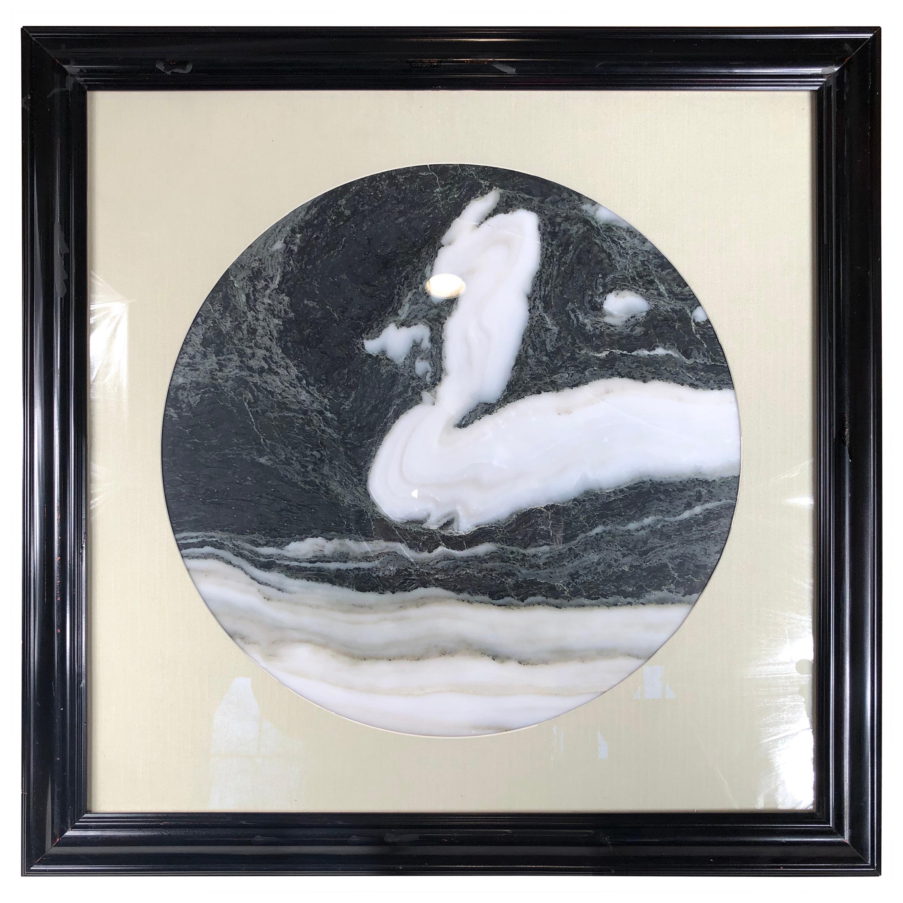 Chinese Swan Extraordinary Natural Stone "Painting"