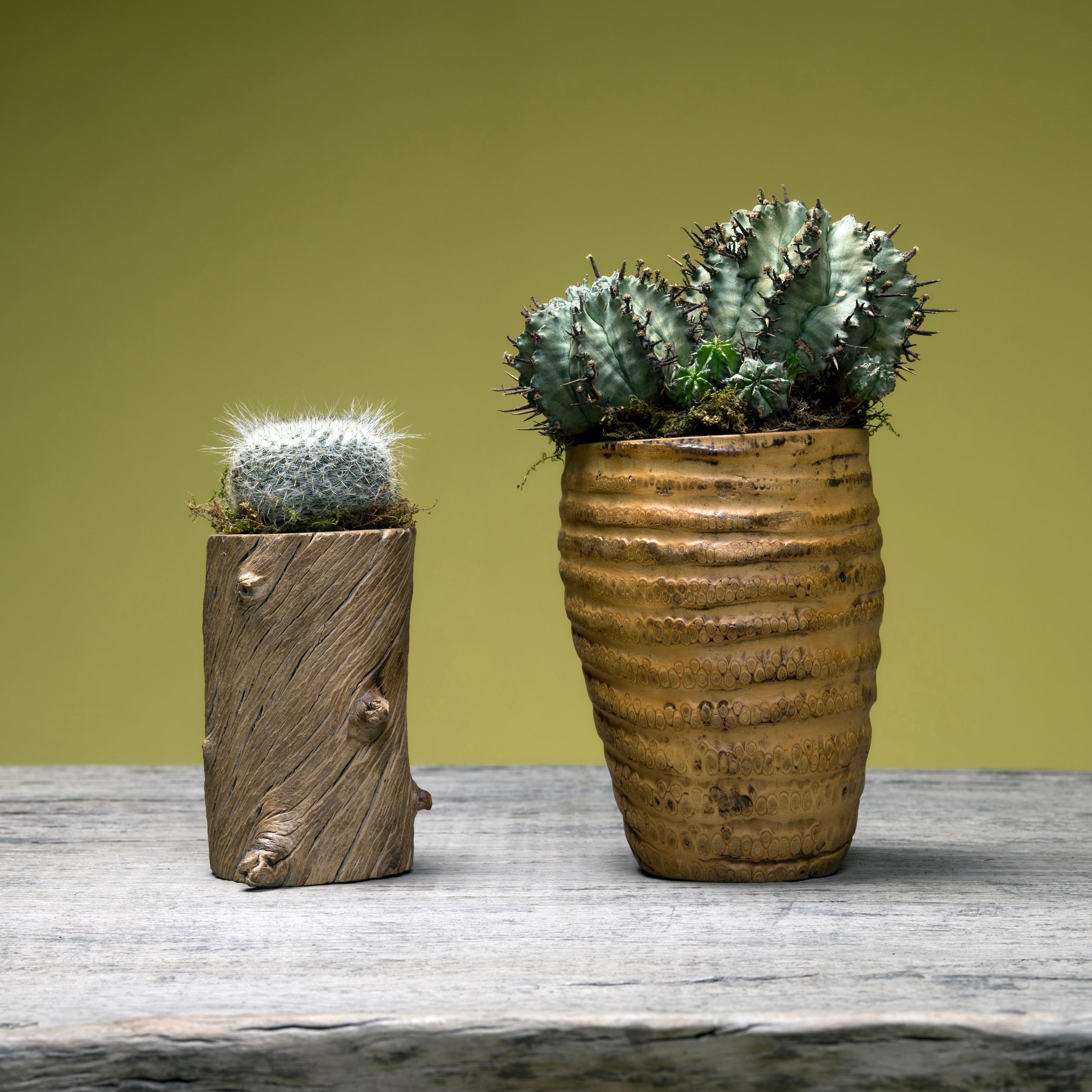 20th Century Chinese Swirled Wood Brush Pot For Sale