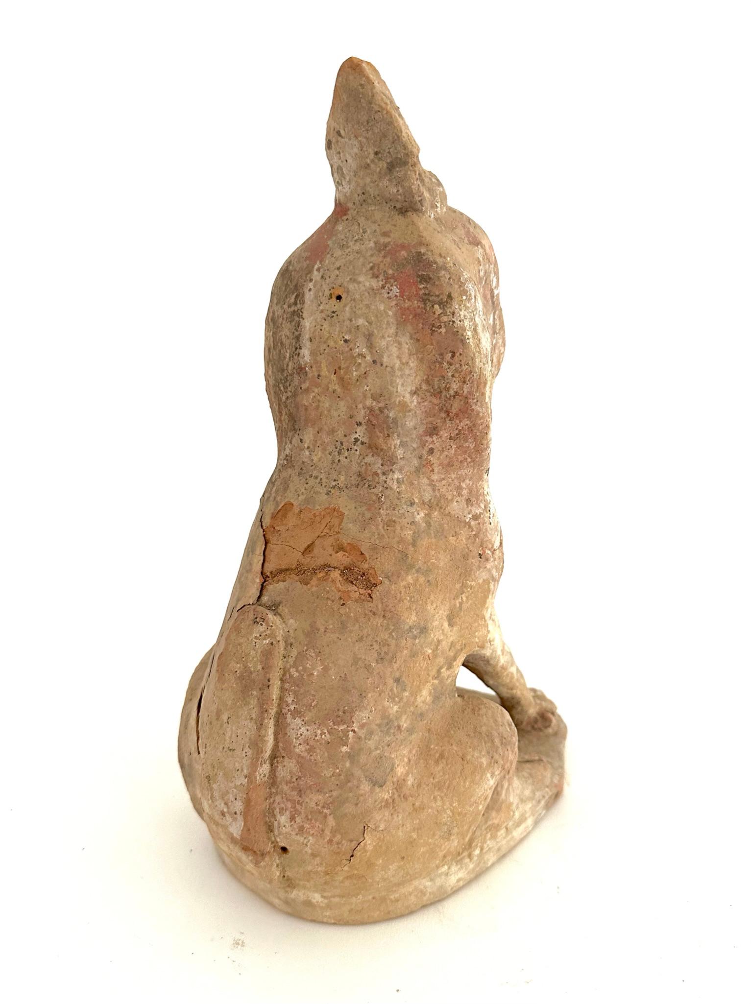 Chinese Tang Dynasty Earth Spirit For Sale 8