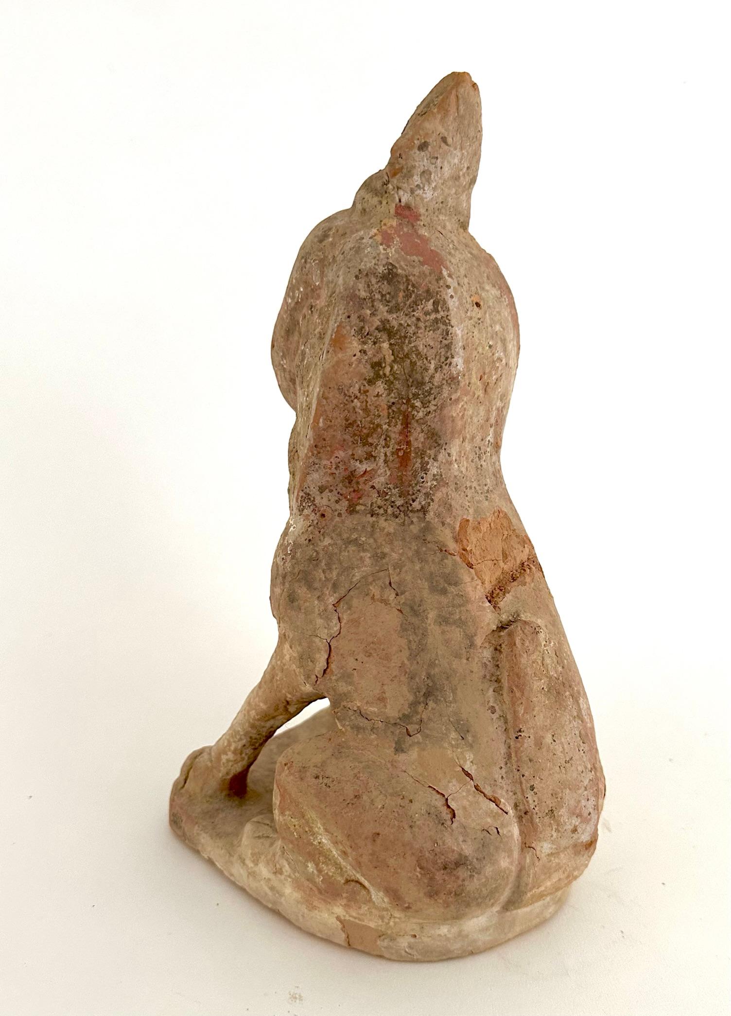 Chinese Tang Dynasty Earth Spirit For Sale 10