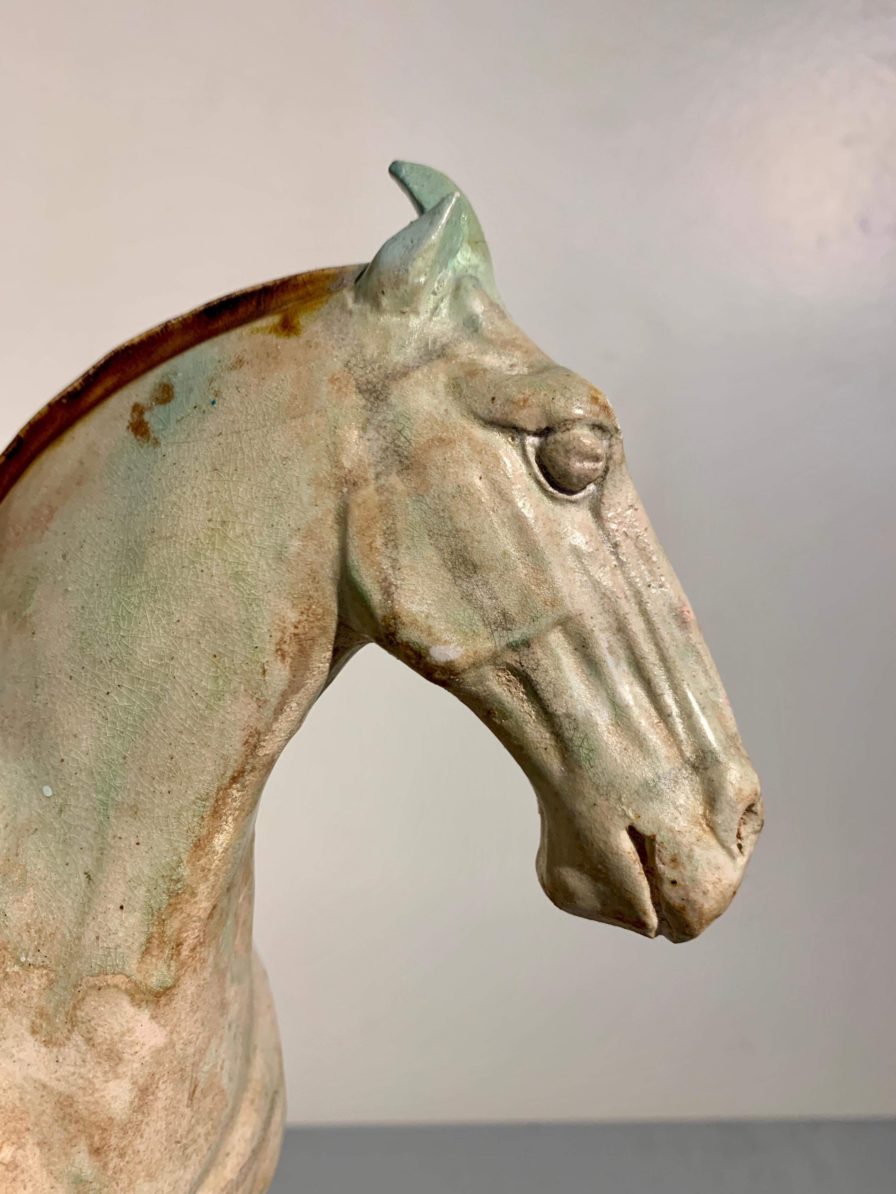 Chinese Tang Dynasty Sancai Glazed Horse and Rider, TL Tested, China For Sale 5
