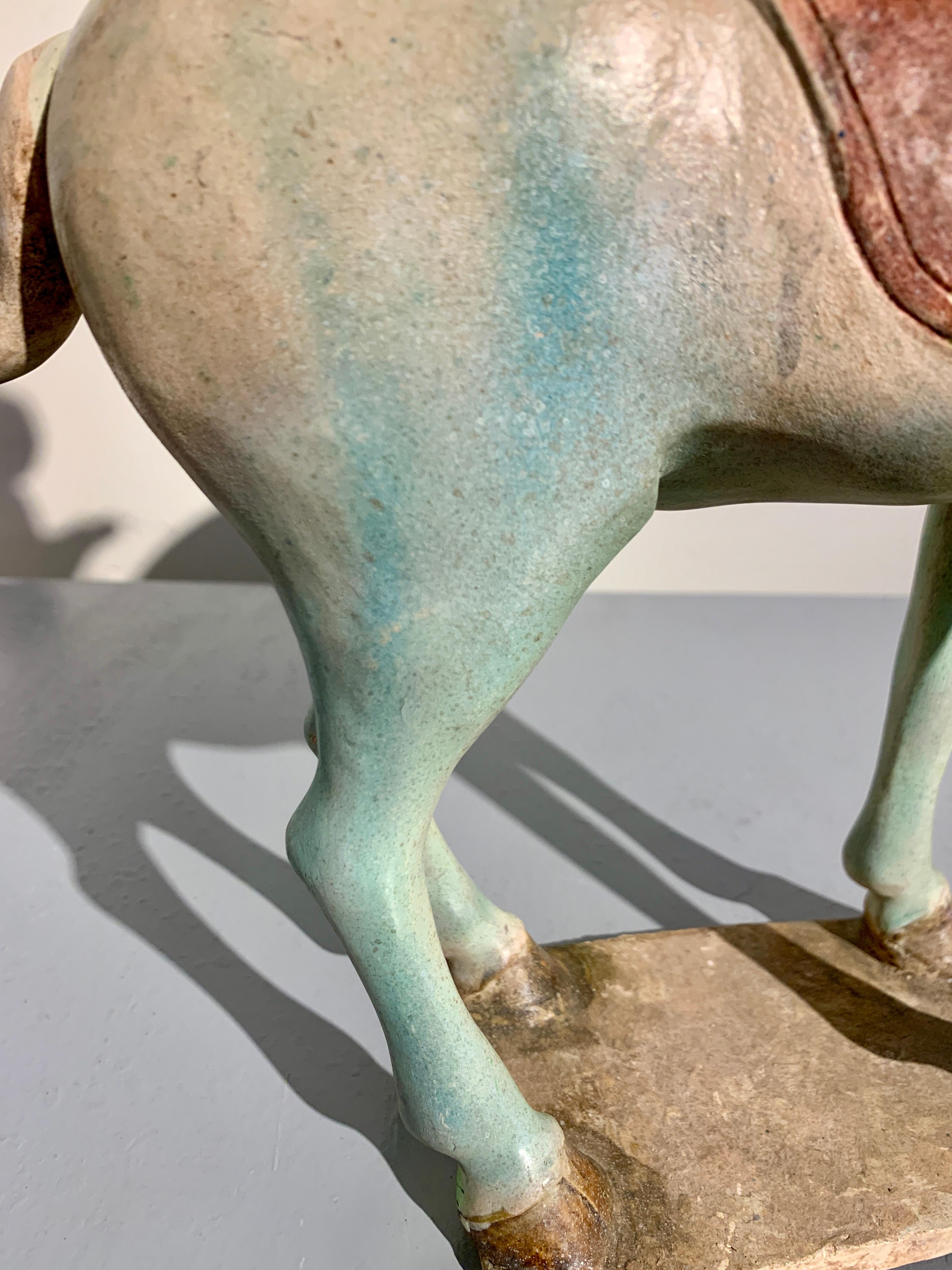 Chinese Tang Dynasty Sancai Glazed Horse and Rider, TL Tested, China For Sale 11