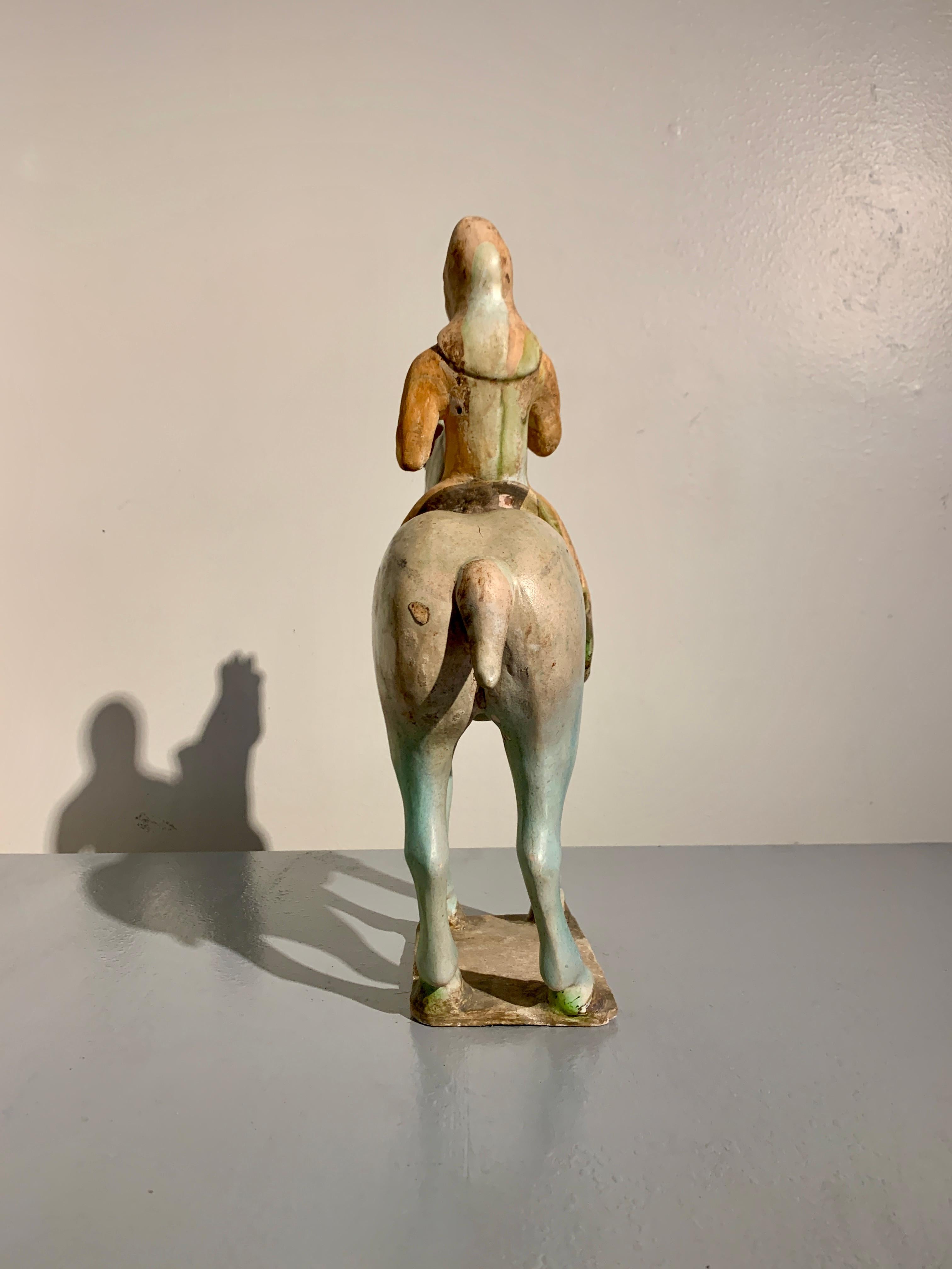 Earthenware Chinese Tang Dynasty Sancai Glazed Horse and Rider, TL Tested, China For Sale