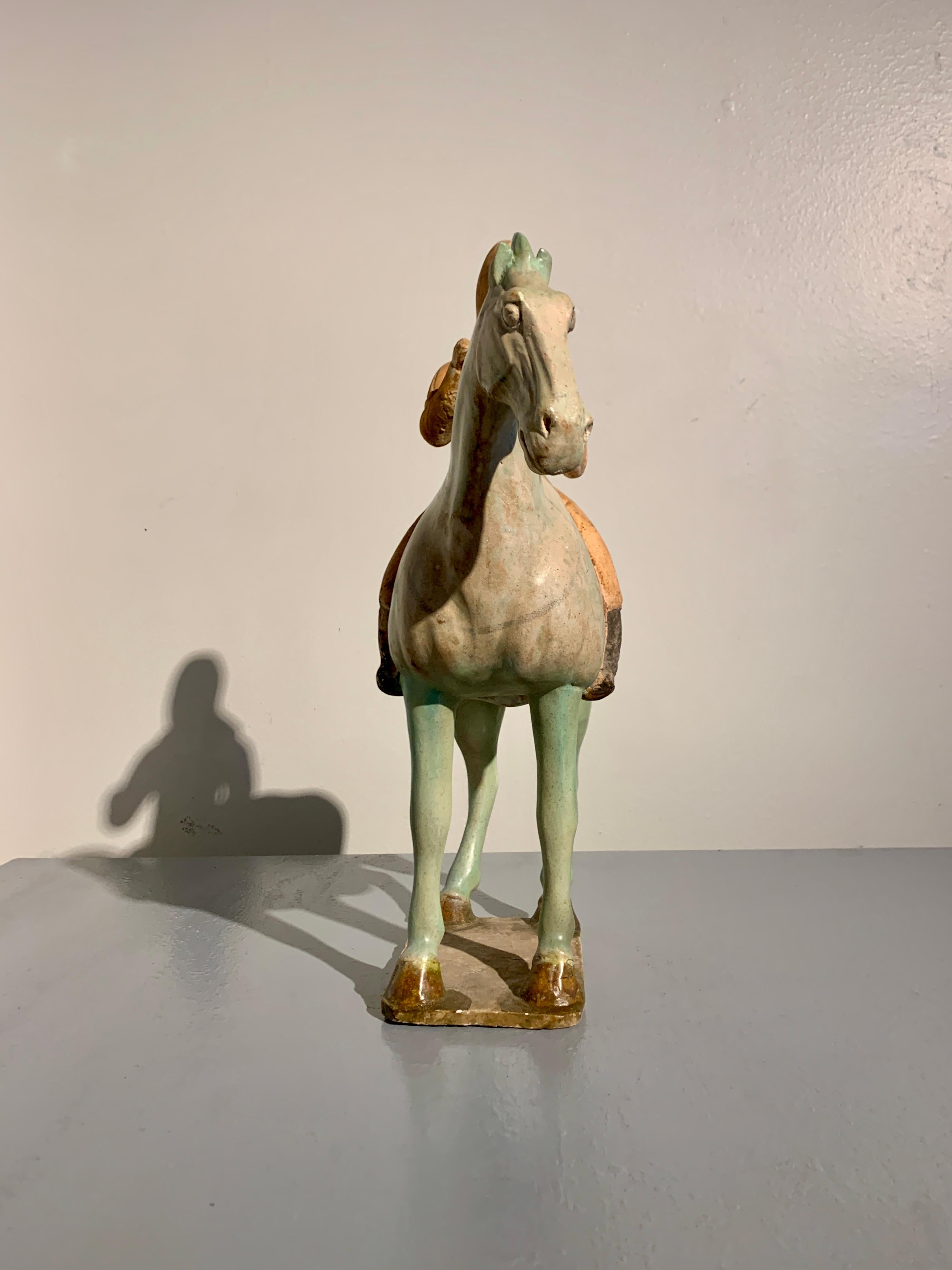 Chinese Tang Dynasty Sancai Glazed Horse and Rider, TL Tested, China For Sale 4