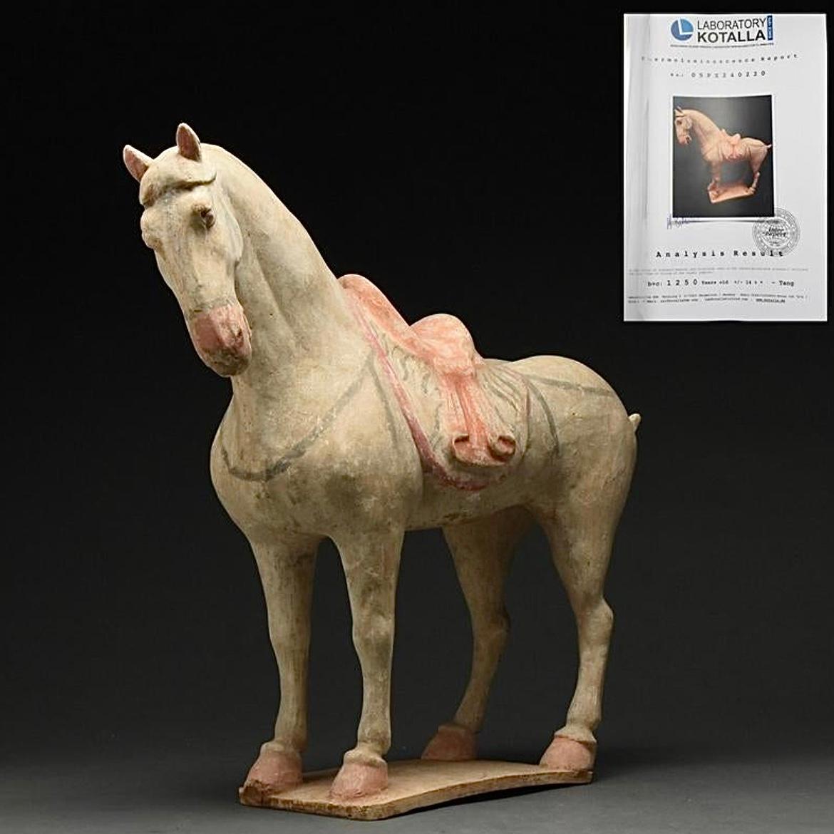 Chinese Tang Dynasty Terra-cotta Horse Figure TL Tested 4