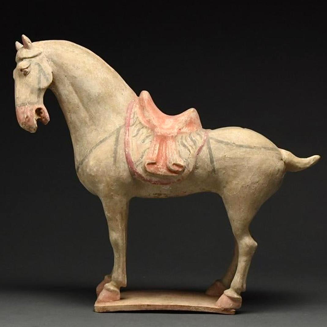 Chinese Tang Dynasty Terra-cotta Horse Figure TL Tested 5