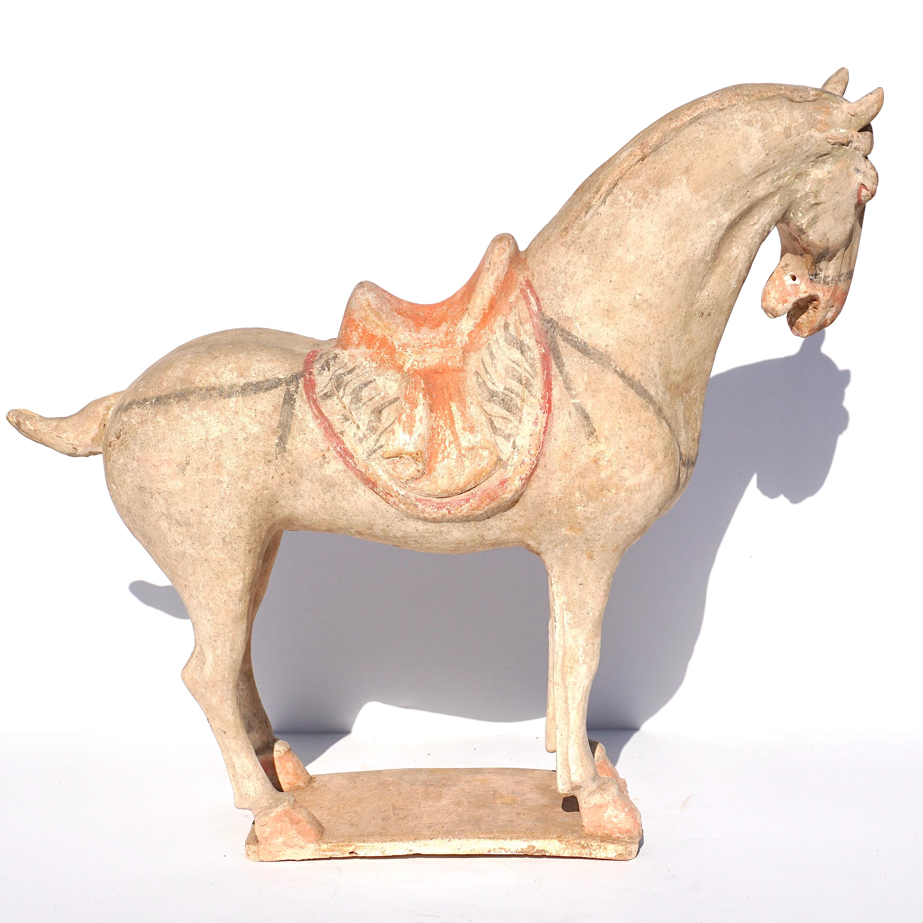 Chinese Tang Dynasty Terra-cotta Horse Figure TL Tested In Good Condition In Dallas, TX