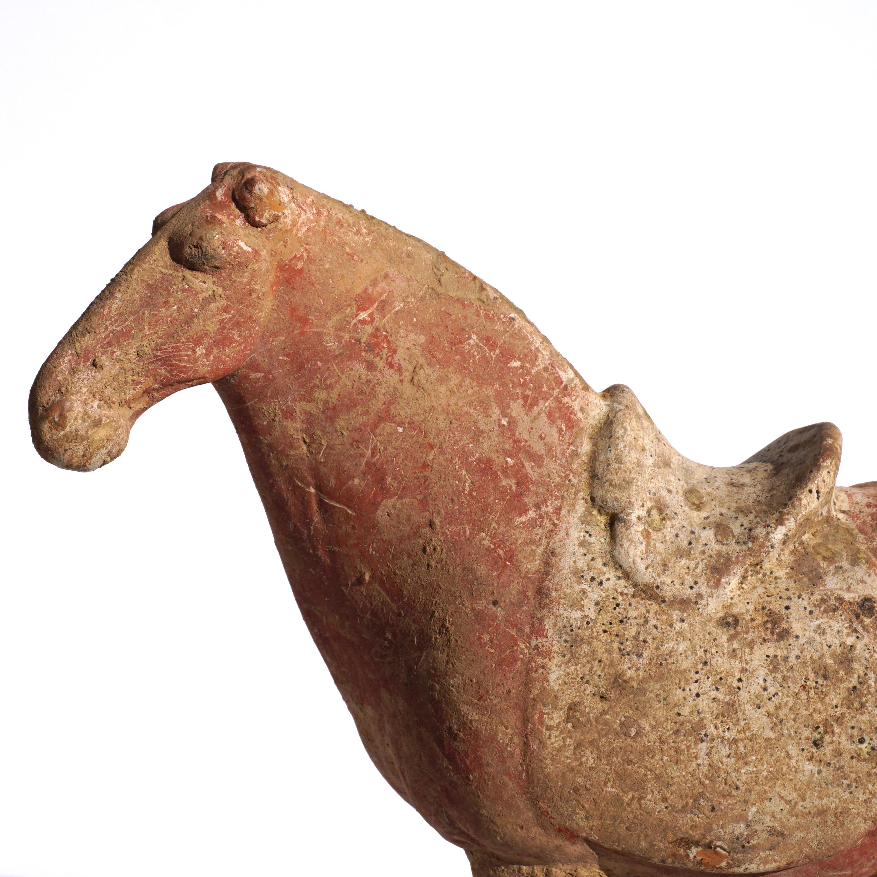 Chinese Tang Dynasty Terracotta Pottery Red War Horse In Good Condition In Dallas, TX