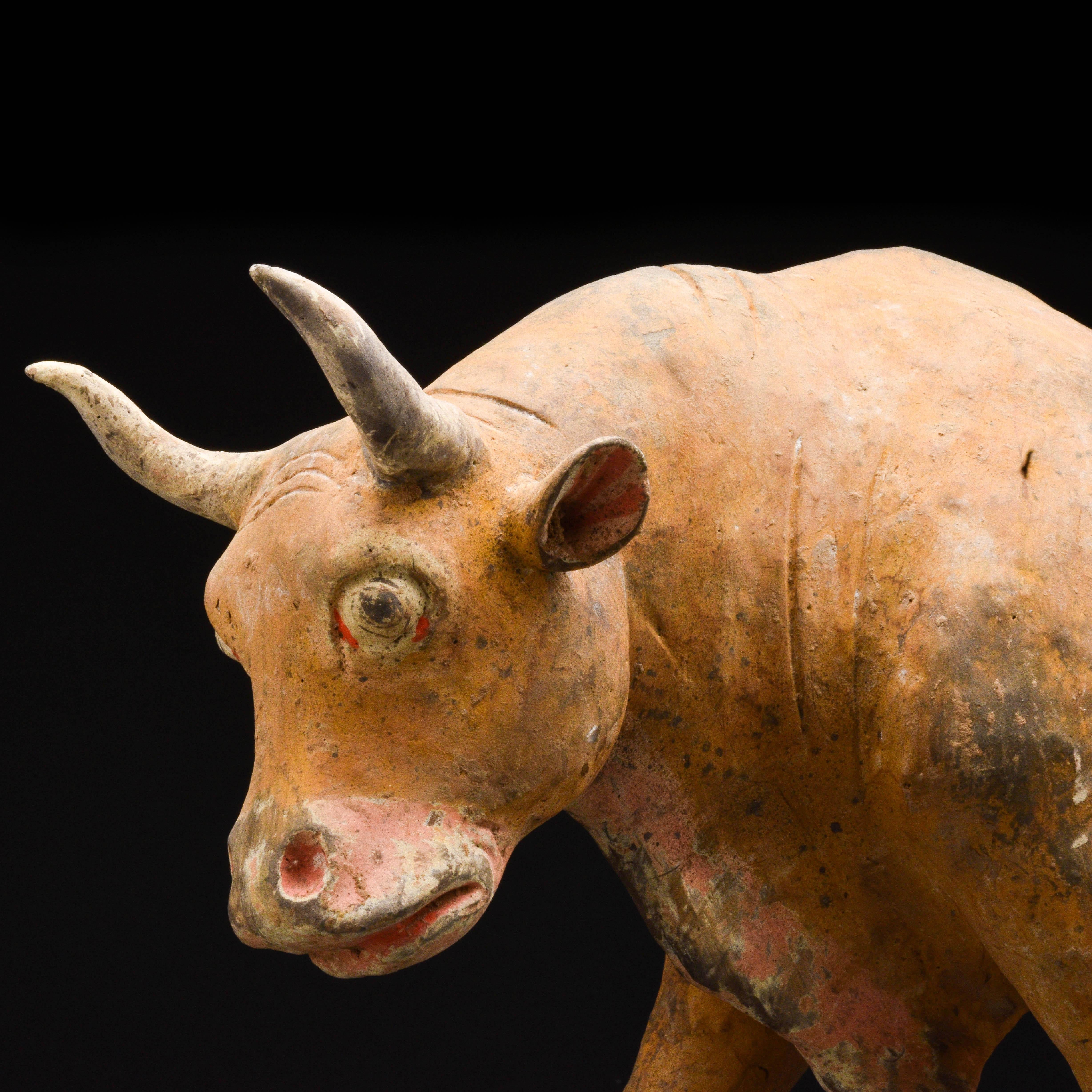 18th Century and Earlier Chinese Tang Dynasty Terracotta Bull - TL Tested For Sale